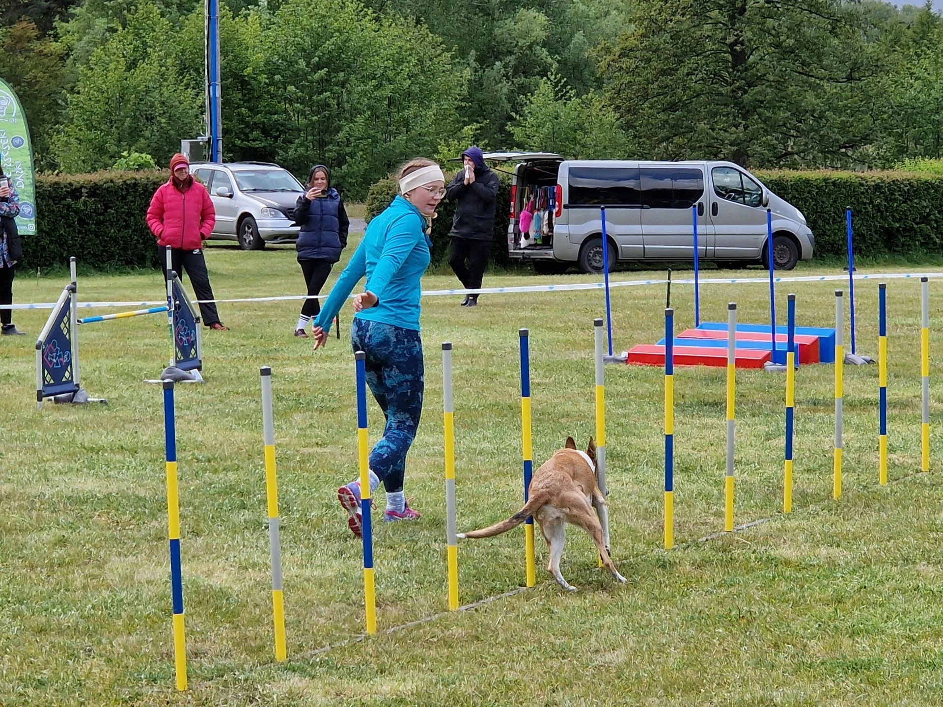 emocji nie brakowało! Zawody Agility w Myślęcinku. Psy walczyły o tytuł najzwinniejszego!