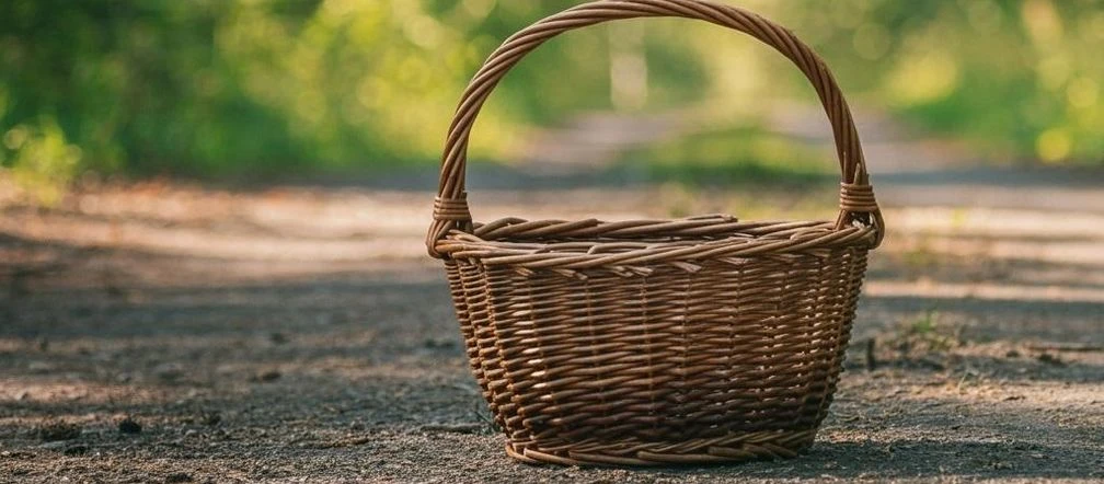 Tylko nie to! W tym roku nie będzie grzybów?! Naukowcy zabrali głos