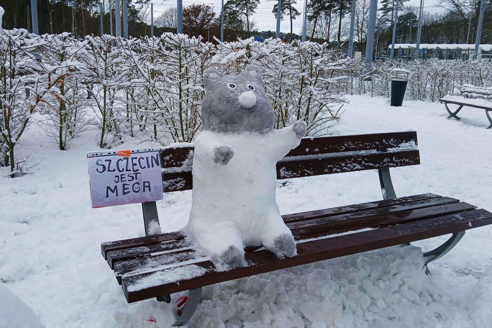 Robią wrażenie! Pan Henryk tworzy wyjątkowe dzieła ze śniegu. Aż przyjemniej się czeka na tramwaj