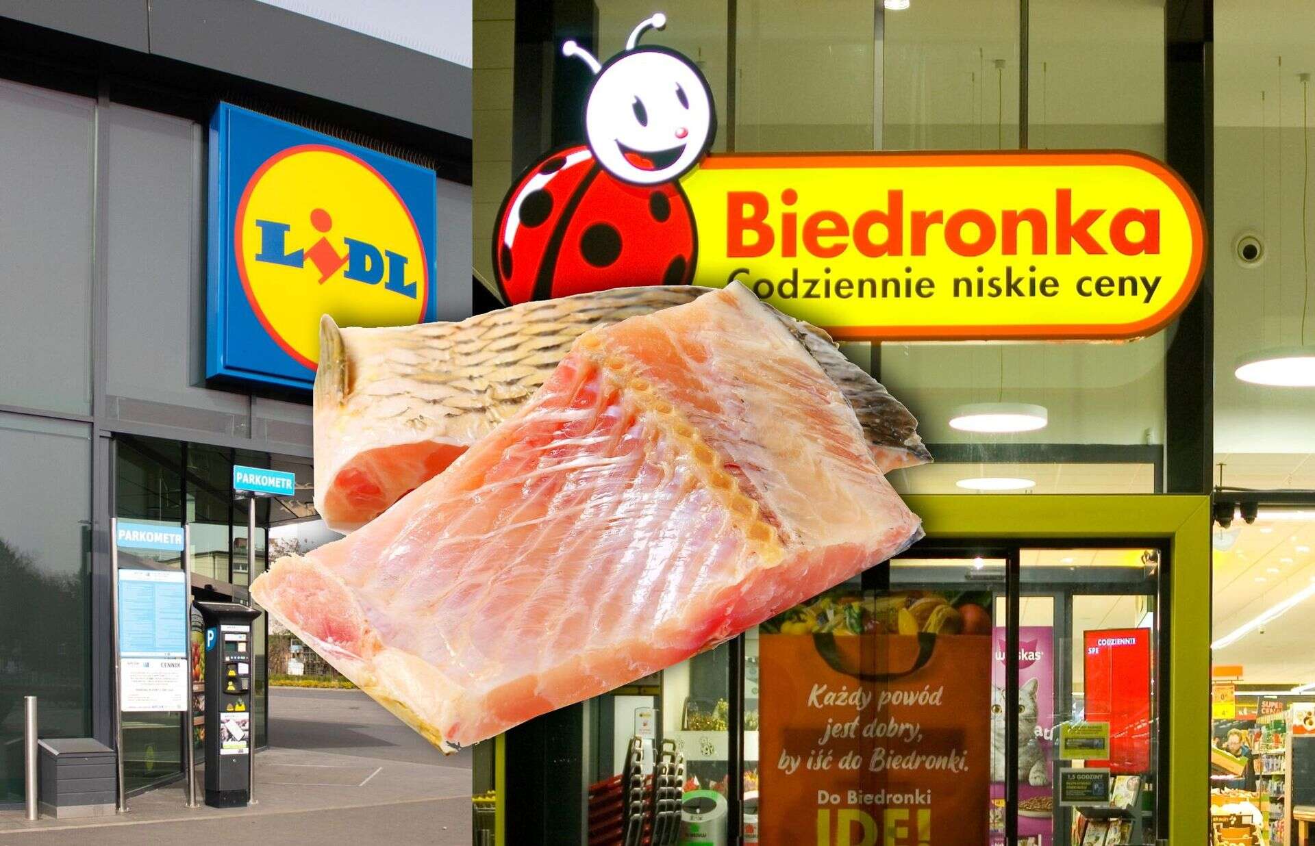 Boże Narodzenie Lidl i Biedronka obniżają ceny karpia