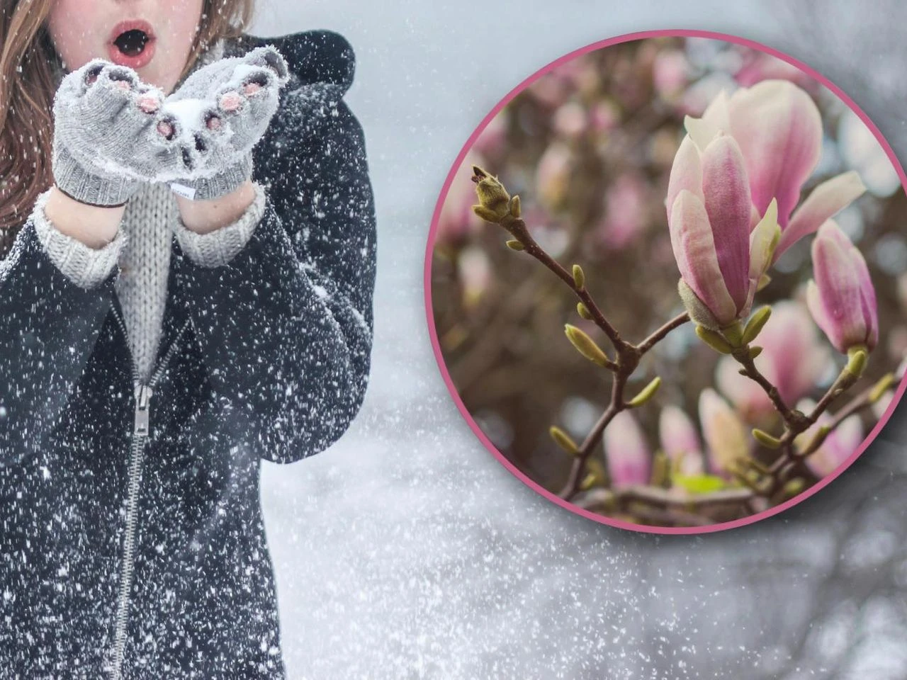 Co mówią synoptycy? Śnieg, wiatr i przymrozki nie ustępują. Czy to ostatnie podrygi zimy? Prognoza pogod…