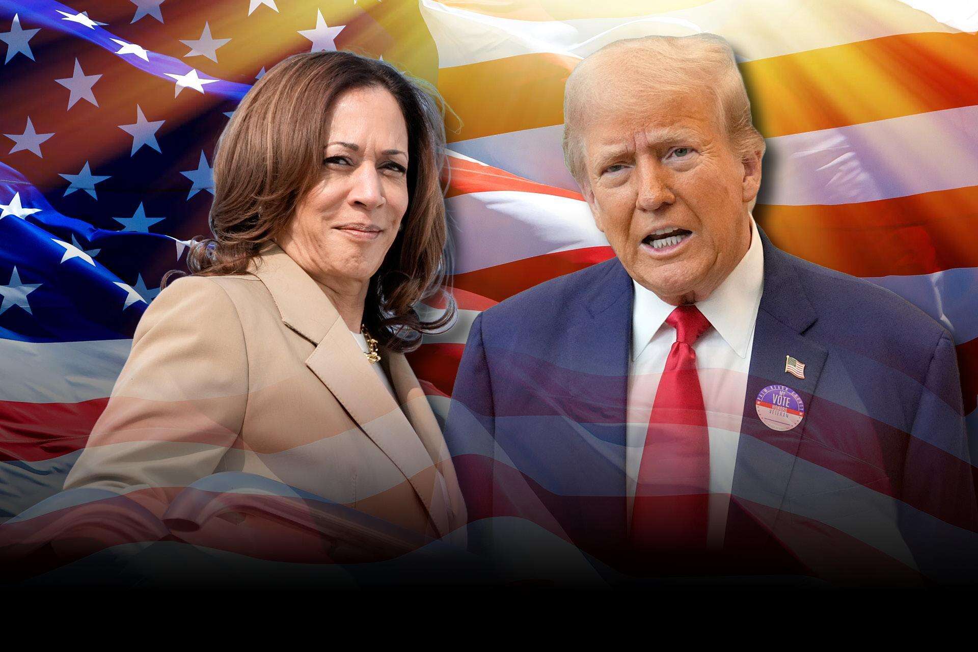 Wybory w USA Grzyby halucynogenne, Donald Trump i Kamala Harris! Takich wyborów jeszcze nie było