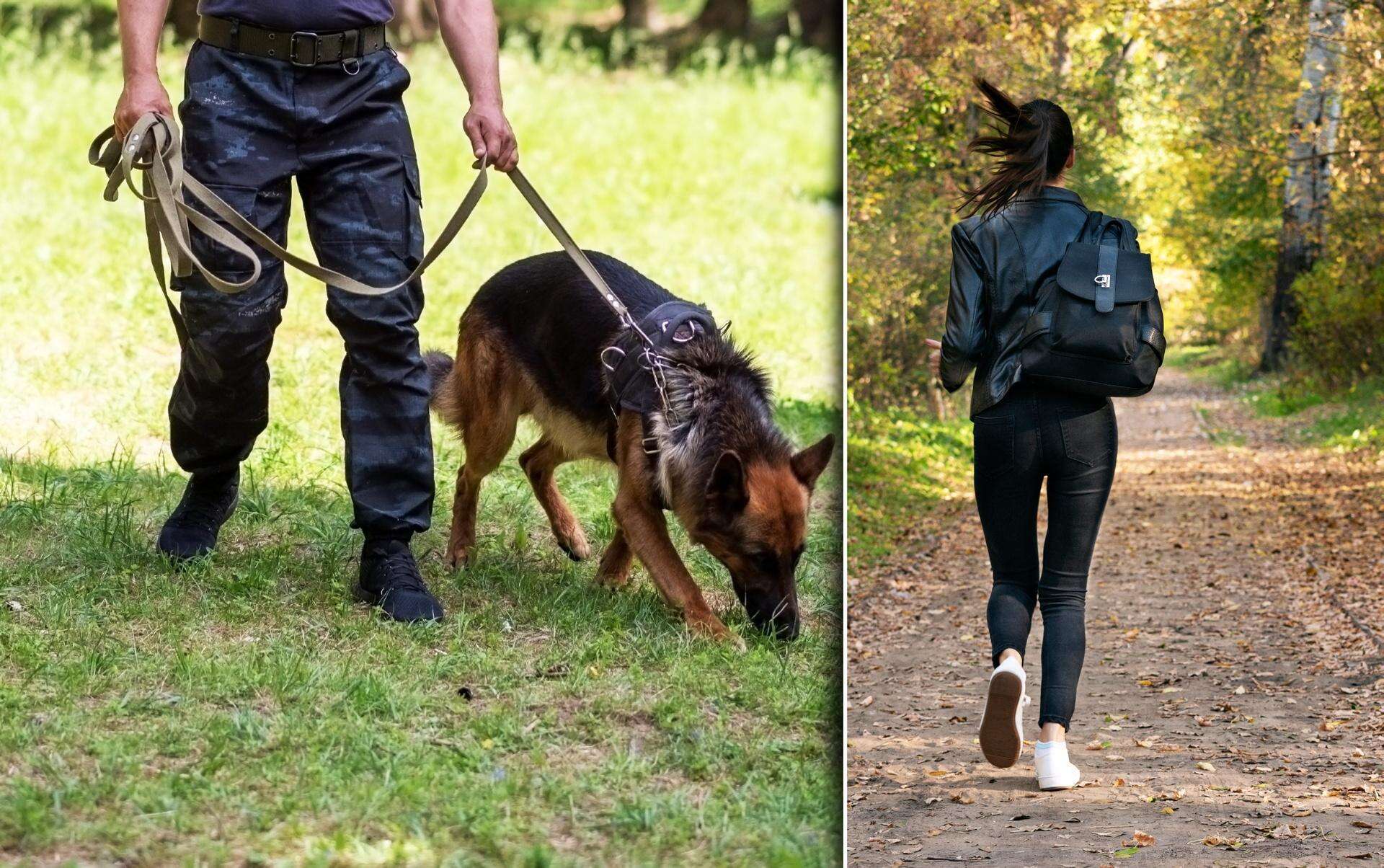 Sam zgłosił jej zaginięcie Powiedział, że Aleksandra wyszła z domu po kłótni. Ciało 38-latki w lesie, ale to mą…