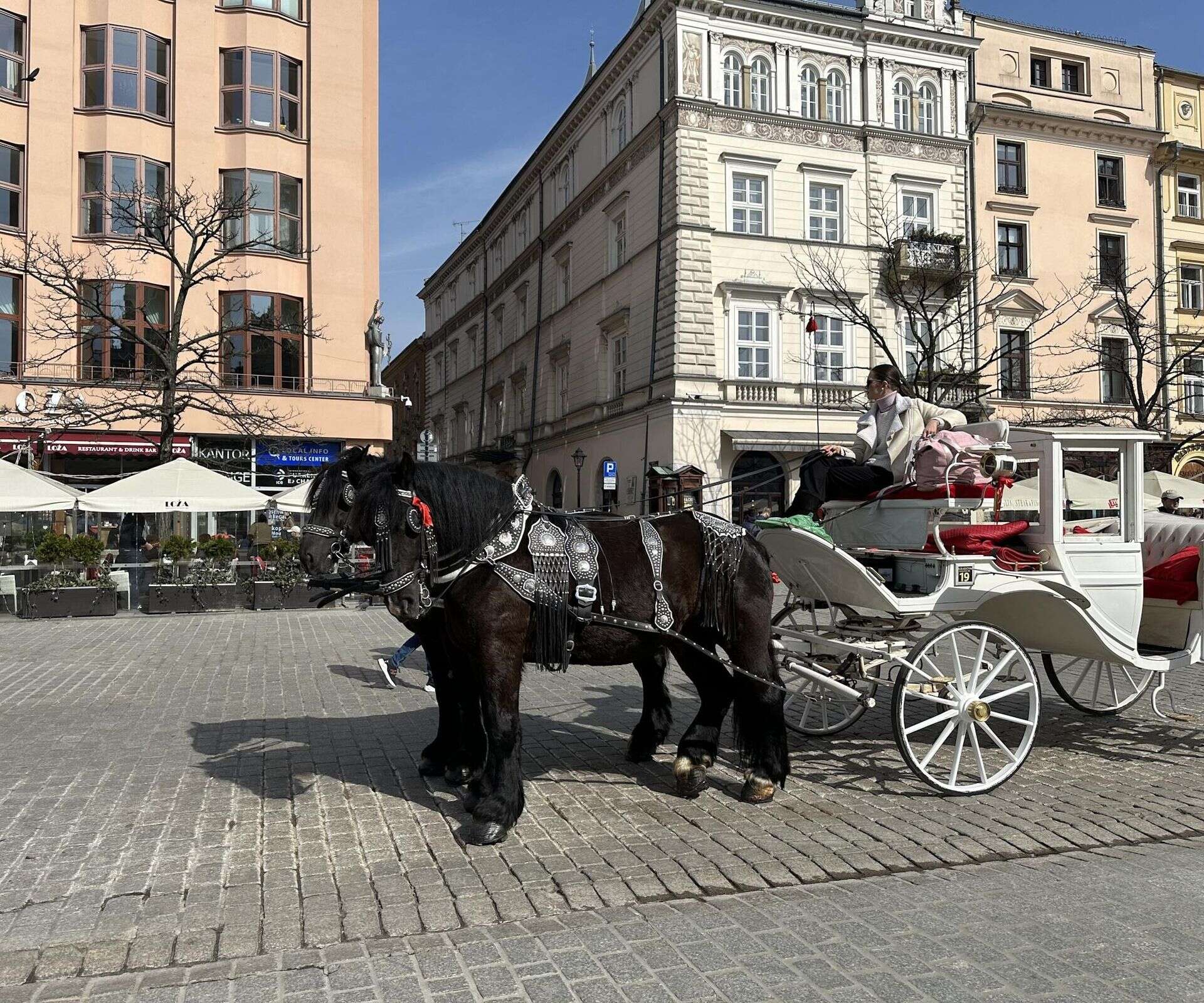 Kraków Dorożkarze z Krakowa na liście niematerialnego dziedzictwa? Społecznicy protestują