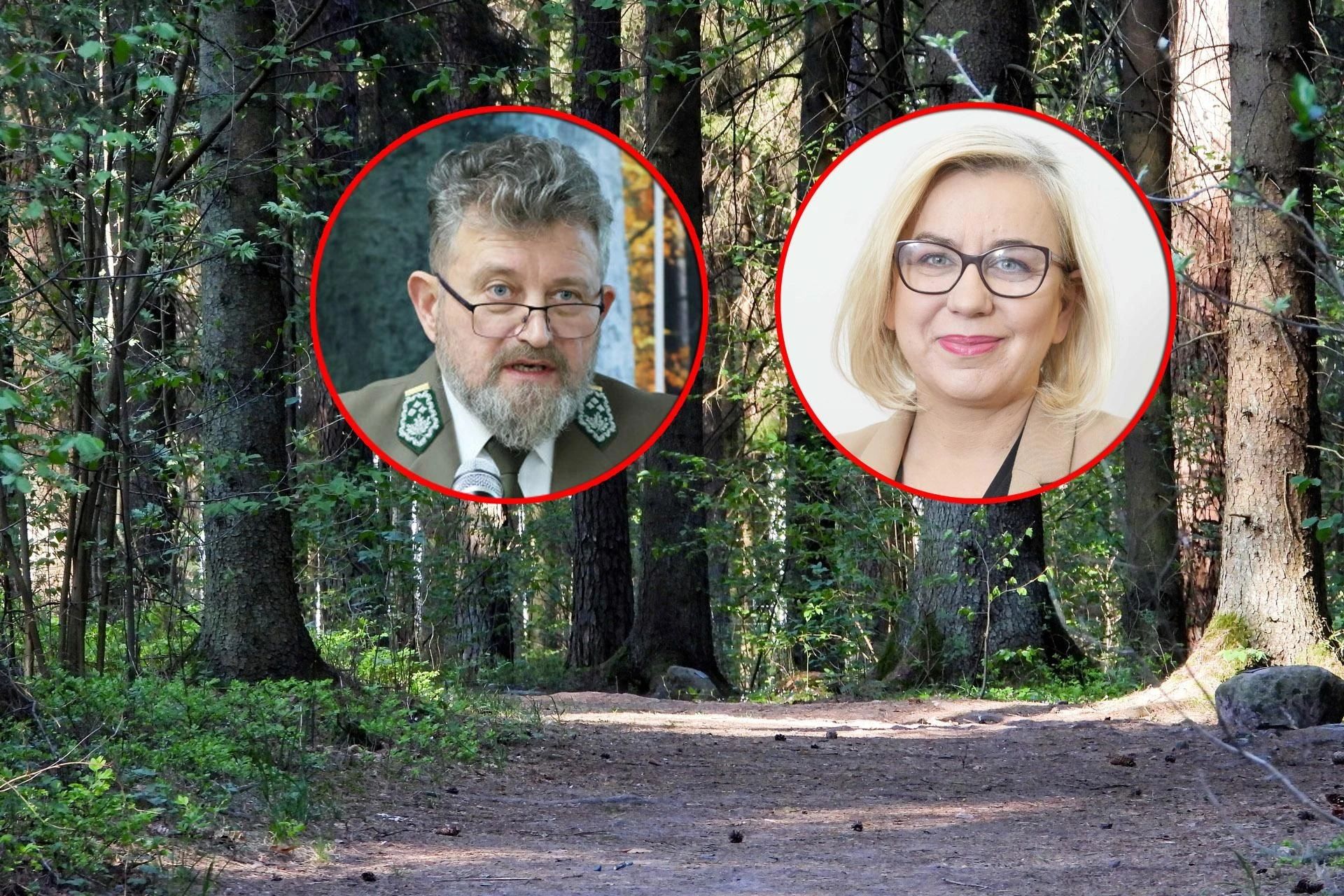Co dalej? Szef Lasów Państwowych odwołany! Minister Hennig-Kloska podjęła decyzję. Co się stało?