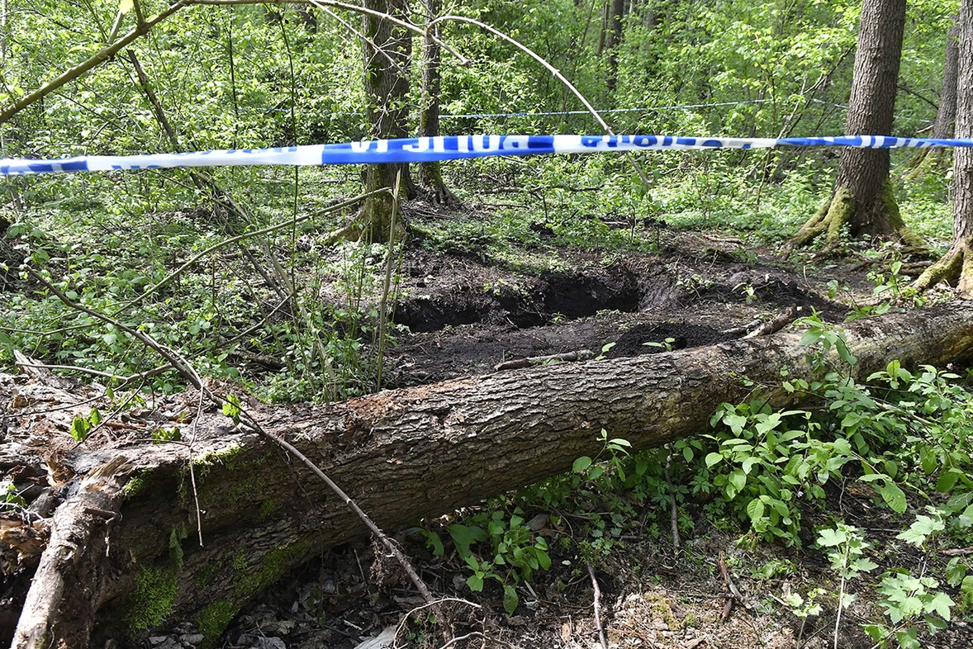 szczegóły szokują! Marek został brutalnie zamordowany, a jego ciała nigdy nie odnaleziono. Zagadkę rozwiązano dopiero po niemal 30 latach