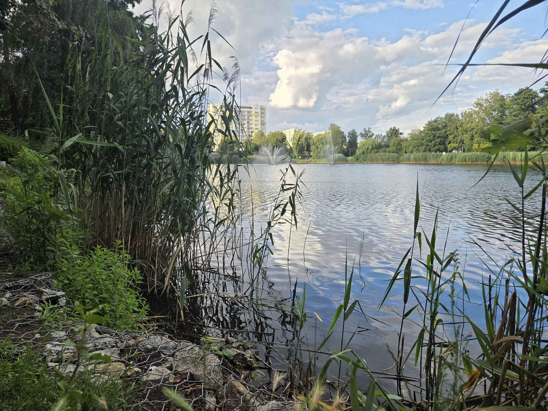 zapraszamy na spacer! Zielona perła Bartodziejów. Odkryj uroki bydgoskiego Balatonu