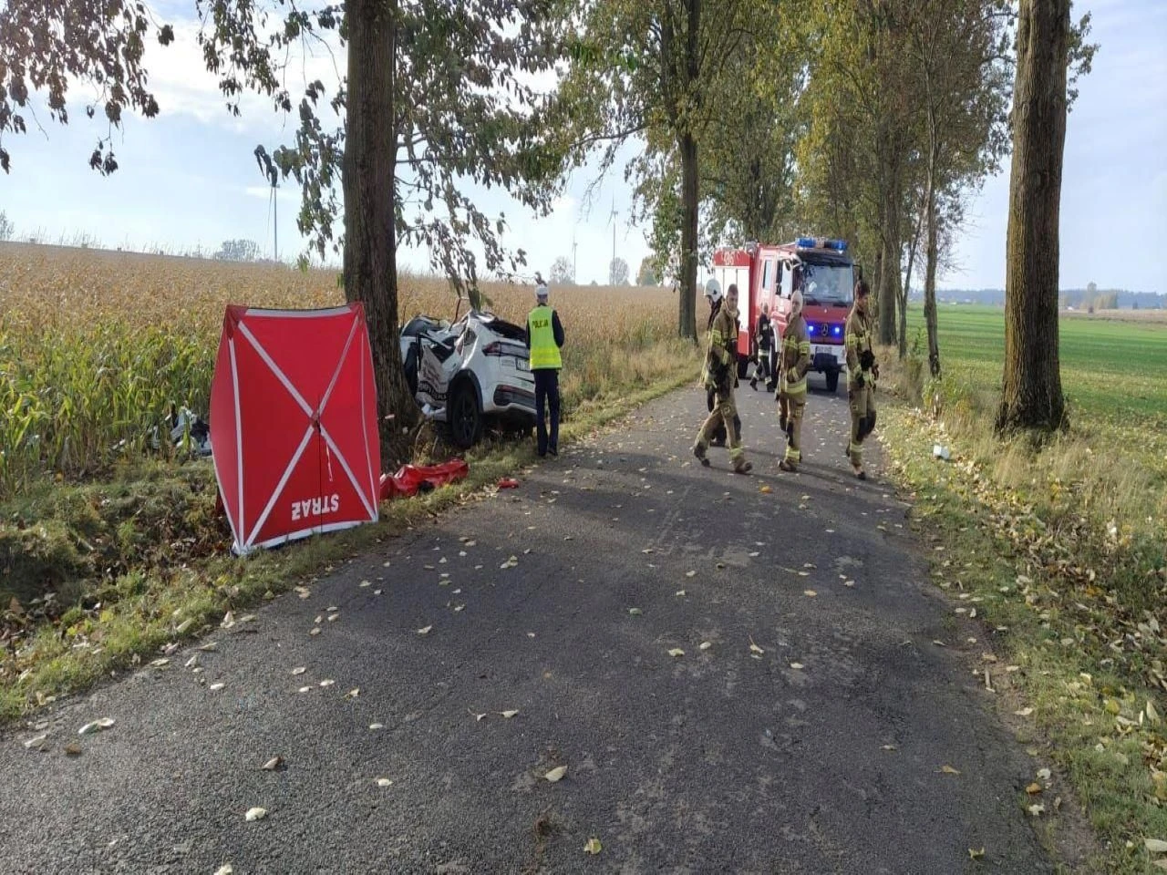 Śmiertelny wypadek Dramat na drodze. 34-latek roztrzaskał się na drzewie. Nie miał szans przeżyć