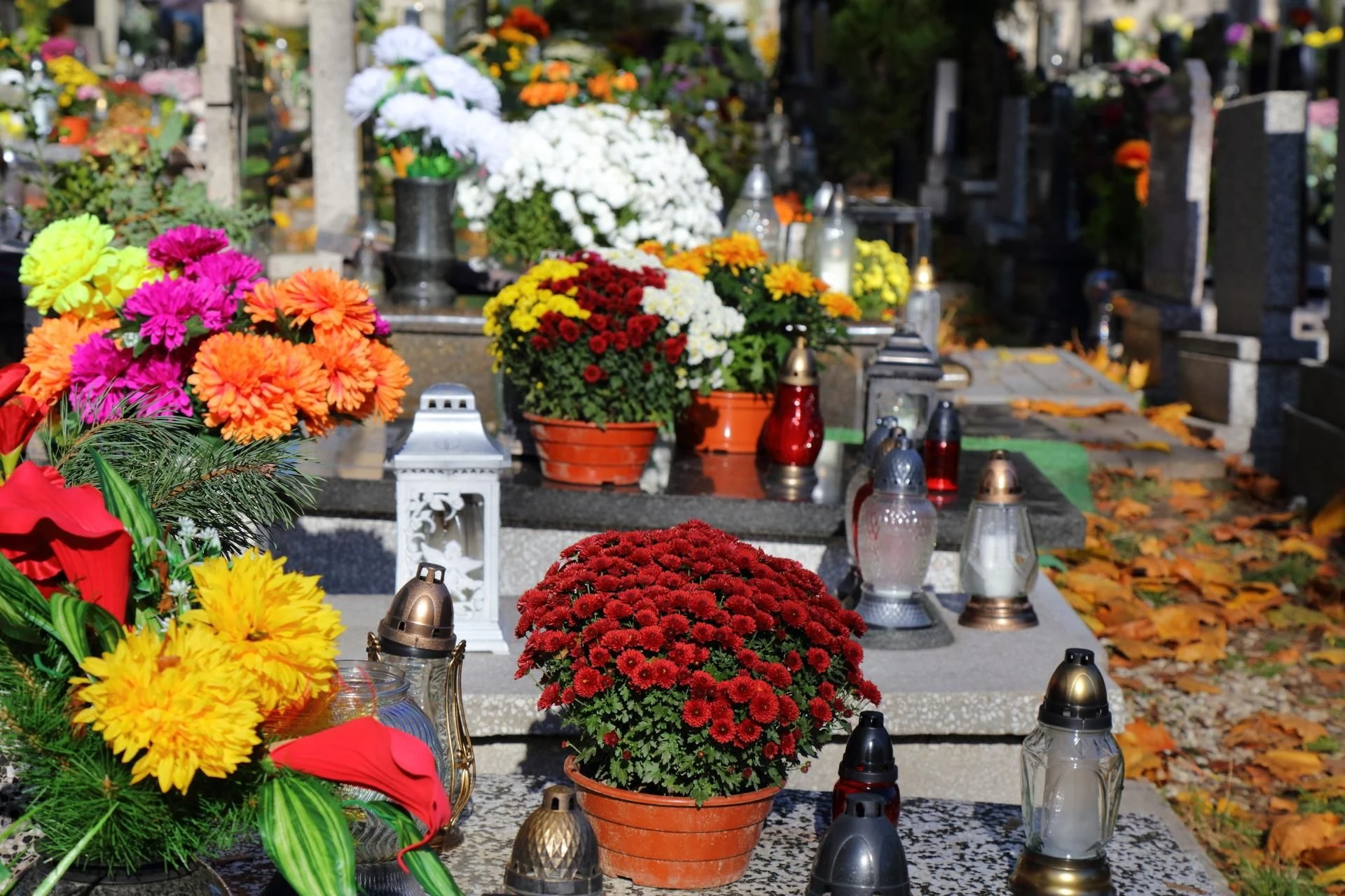 Kwiaty na grób Weź ze sobą cytrynę na cmentarz 1 listopada. Żaden nagrobek nie będzie tak pięknie przystrojony. Co zrobić żeby kwiaty cięte w wazonie dłużej stały?