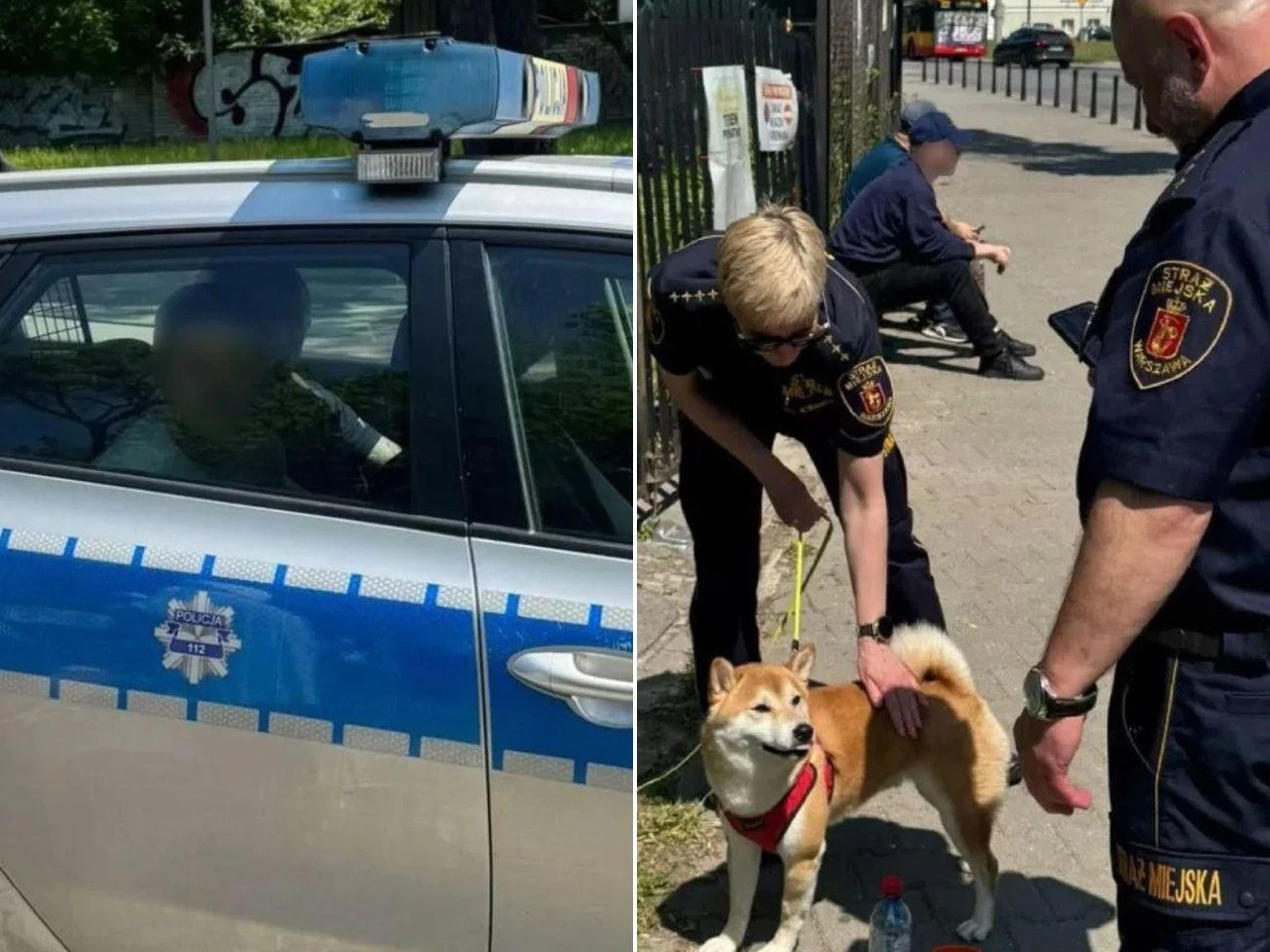 SPRAWCĘ ZATRZYMANO Piknik w Warszawie zamienił się w koszmar. „Za budynkiem mężczyzna bije kobietę”