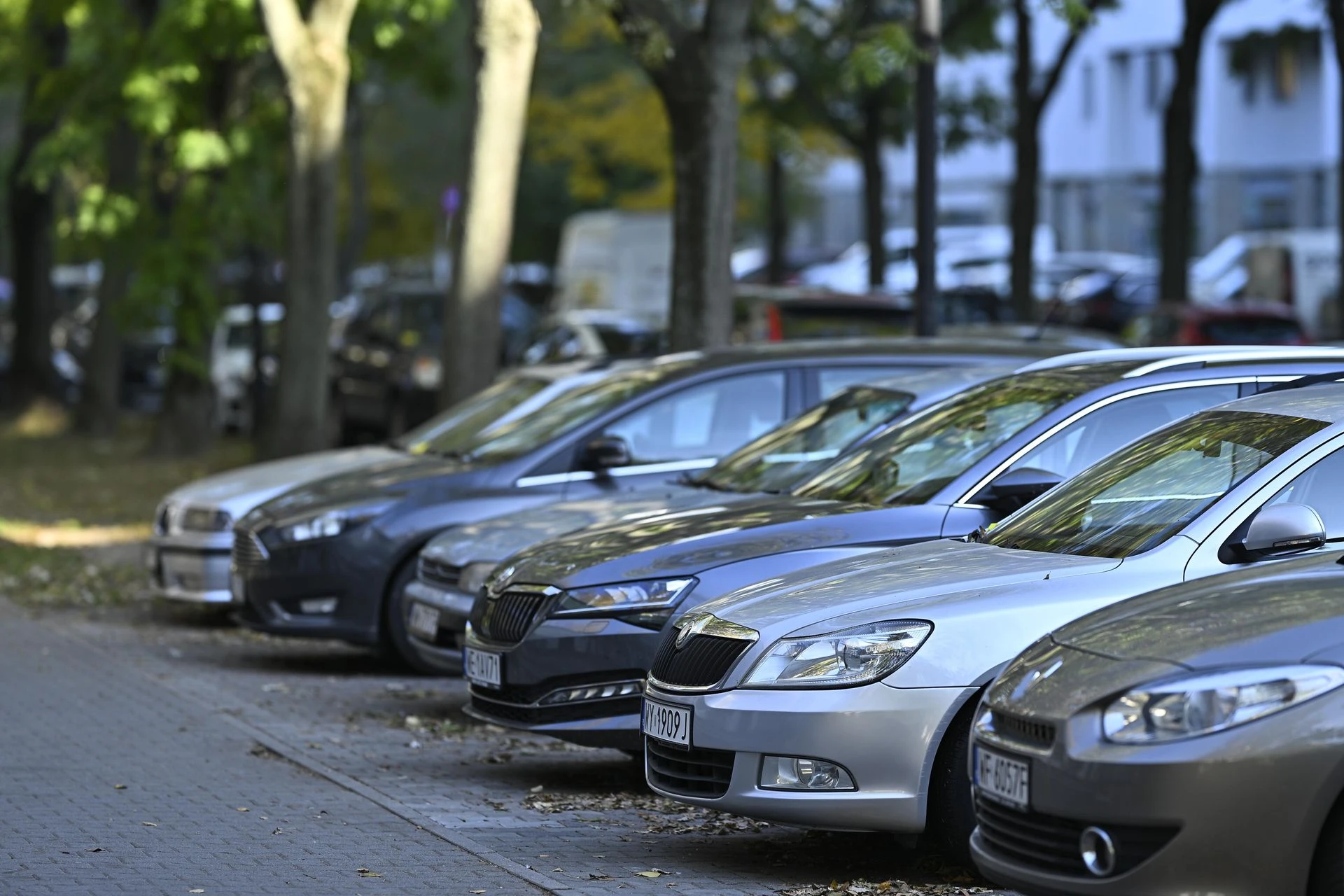 Warto wiedzieć! 351 tys. kierowców złapanych. Kary są wysokie