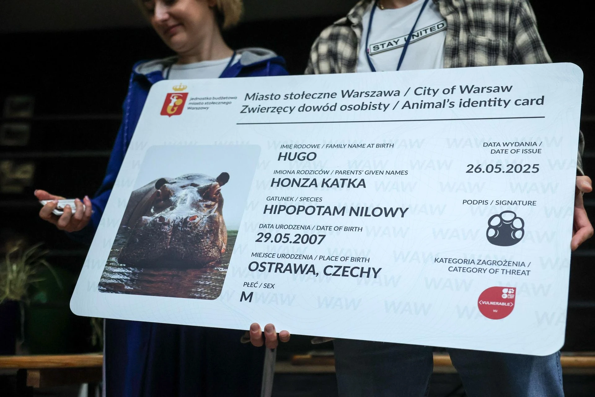 WIELKIE ŚWIĘTOWANIE Hugo z zoo baluje! Hipopotam z Warszawy ma 18 lat i dowód osobisty