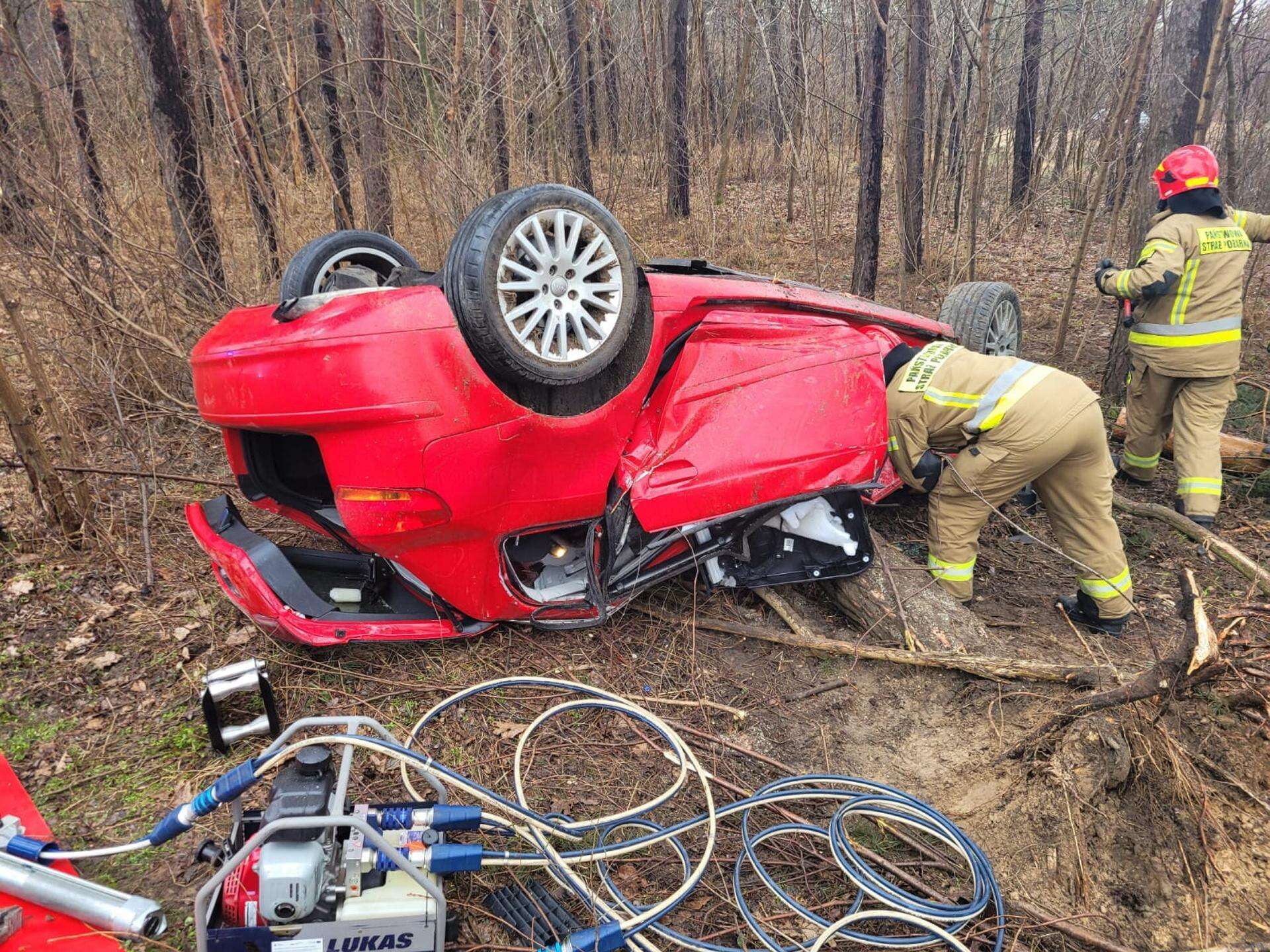 Makabryczny wypadek na DK nr 79 Audi na dachu, przygniotło je drzewo, przebijając karoserię! Uwięziony 35-latek nie …