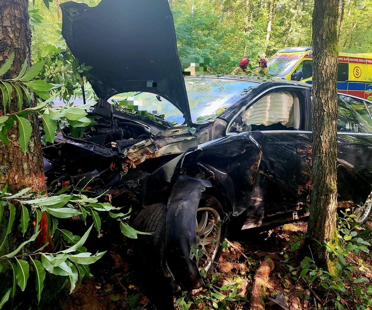 NA DROGACH 19-latek chciał ominąć sarnę, rozbił auto na drzewie. Poważny wypadek w Sosnowicy