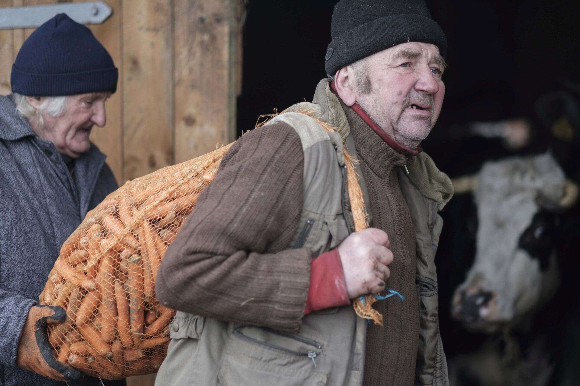 Wiedział, co odpowiedzieć Rolnicy. Podlasie. Sławek zadał Gienkowi intymne pytanie. Zaskakująca odpowiedź roln…