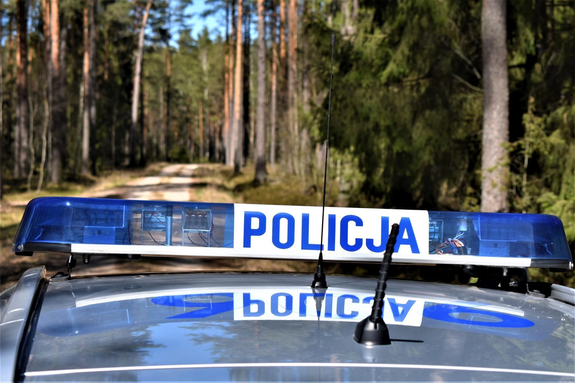 Trwają poszukiwania Zostawili Egipcjanina w lesie. Wiadomo, że ma granatowe dresy