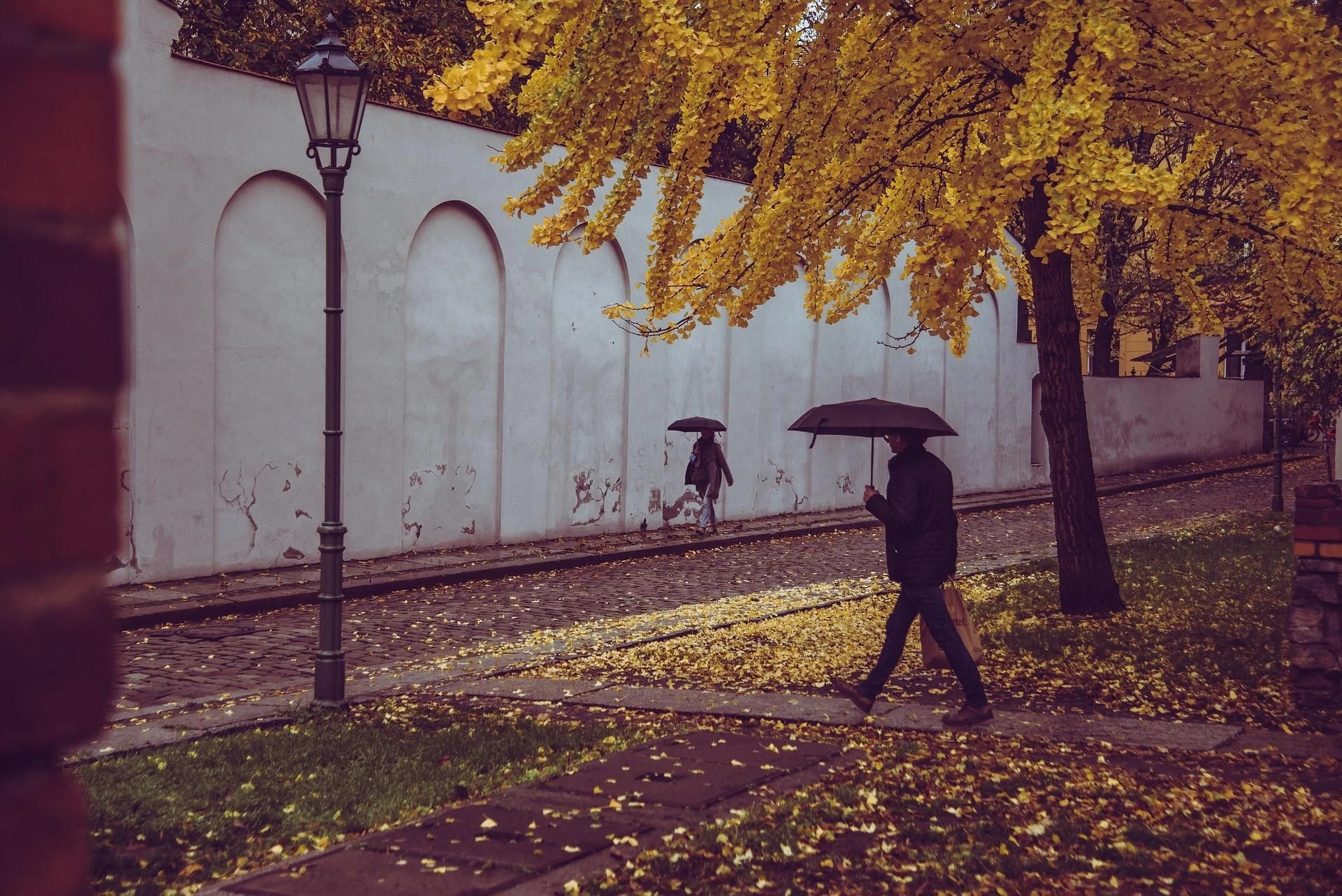 Prognoza IMGW Od -5°C do 15°C. Tutaj będzie padać. Pogoda nie rozpieszcza