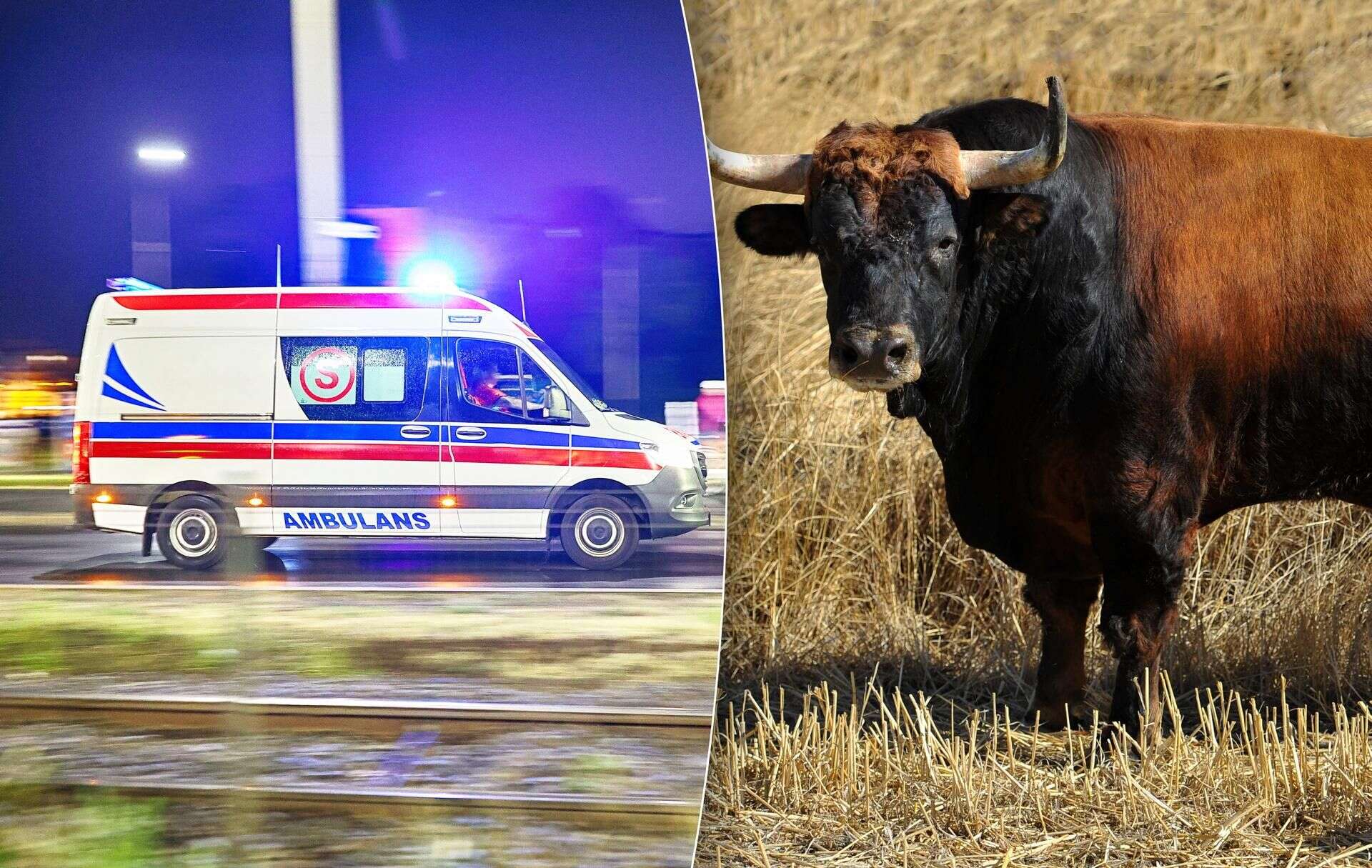 Tragedia we wsi Byk zabił rolnika z Podlasia. 