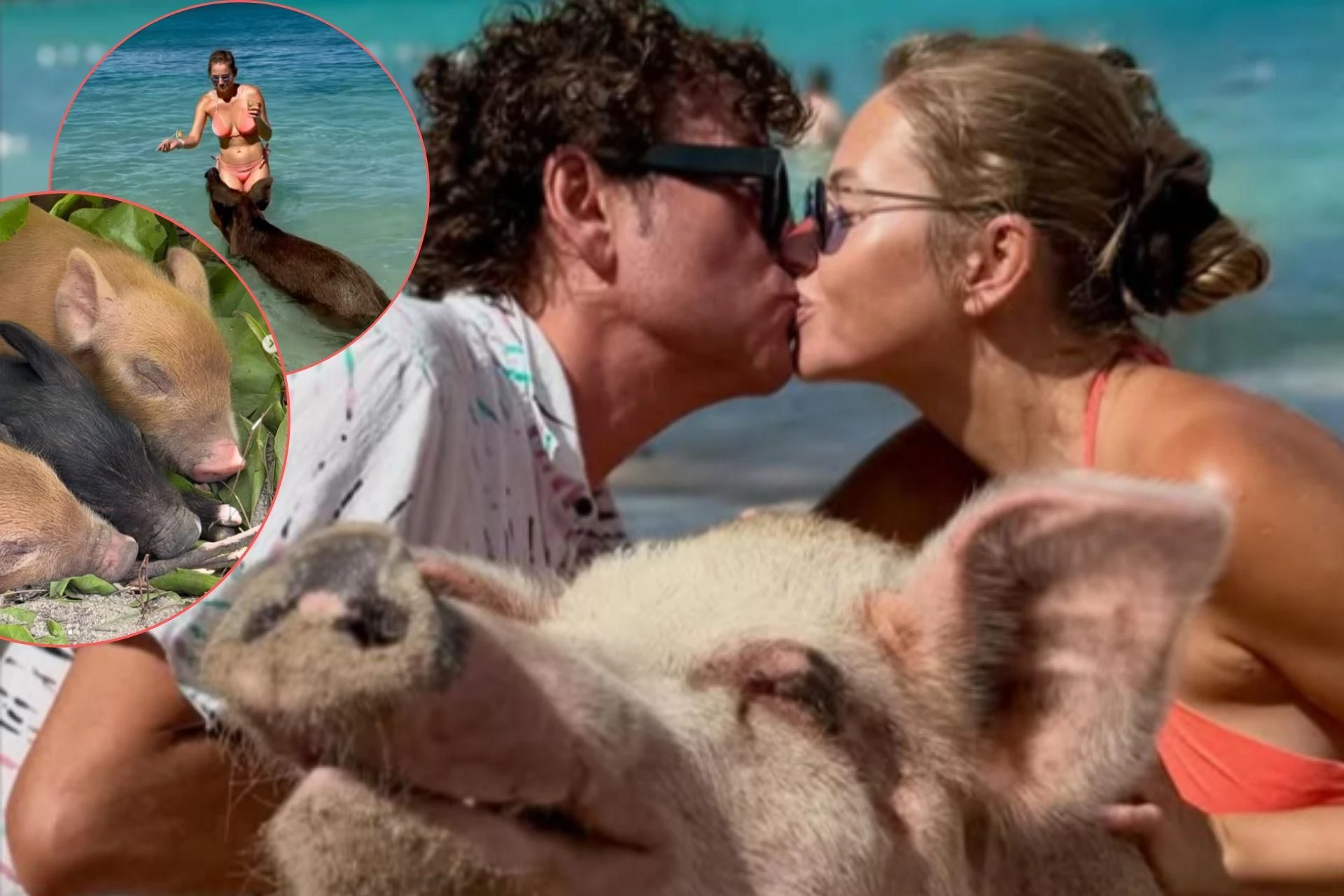 Wow! Wakacje ze świnkami! Rubikowie na Bahamach mają niecodzienne towarzystwo