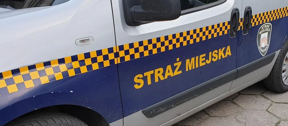 uwaga! Straż miejska z Bydgoszczy szuka pracowników! Ten jeden warunek może przekreślić wie…