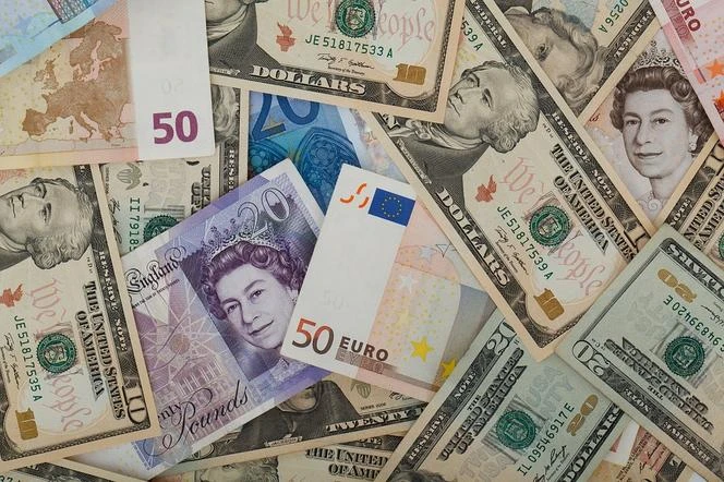Notowania walut Ile kosztuje euro, dolar i funt [17.07.2024]?