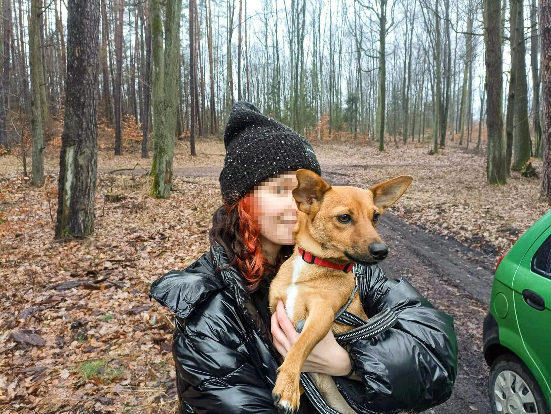 Mała bohaterka Bóbr utknął w betonowej pułapce. Lucy ruszyła na ratunek