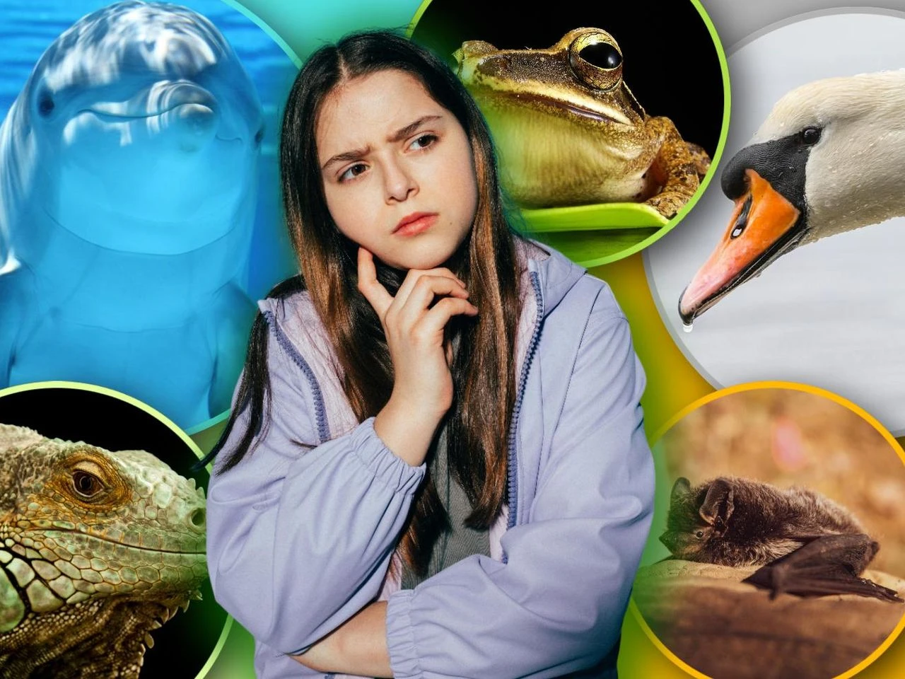 Sprawdź się! Quiz. Ptak czy ssak? A może jednak owad? Sprawdź czy uważałeś na lekcjach biologii
