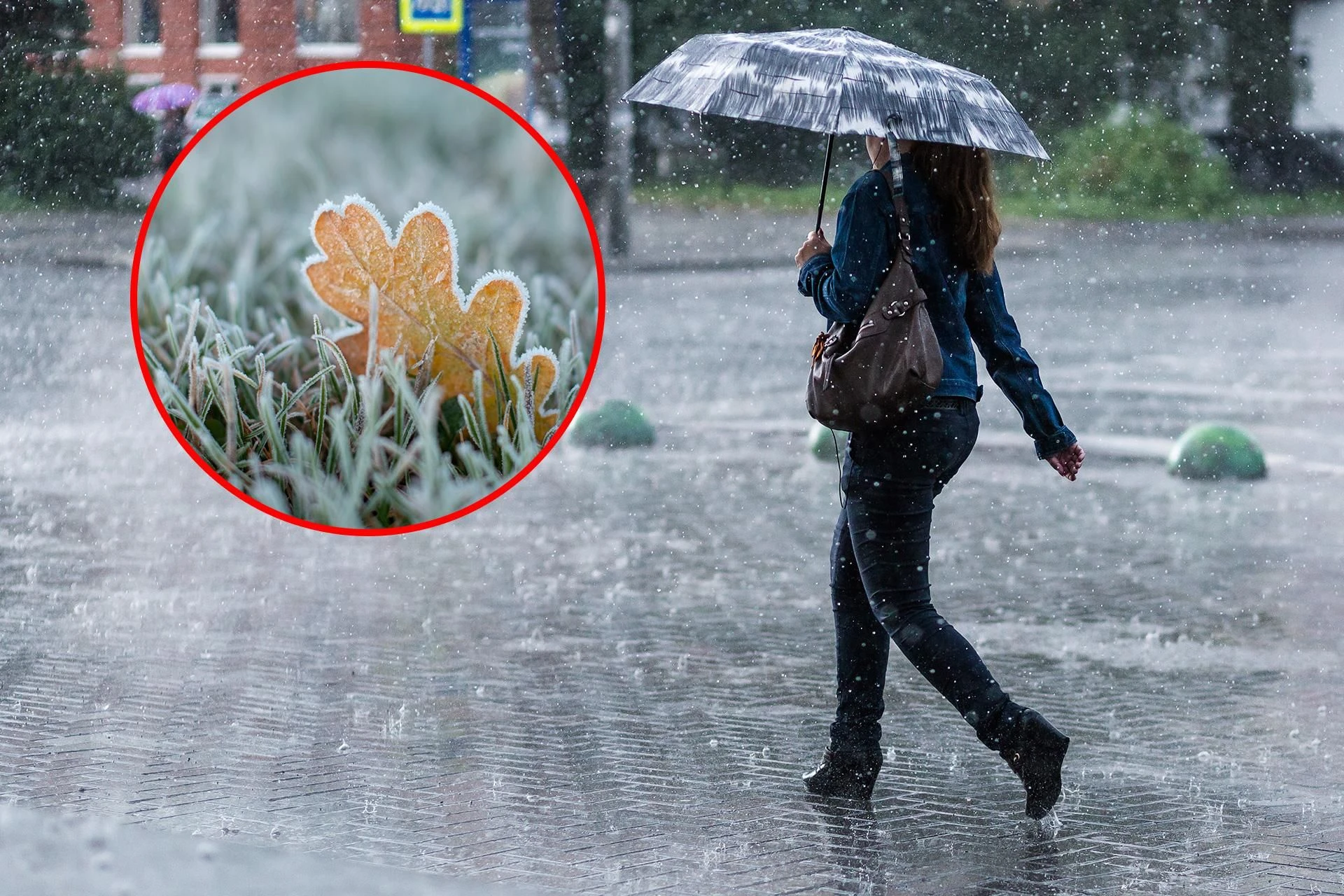 Przygotujcie kurtki i parasole Przymrozki do -3 stopni i powrót deszczu. Sprawdź, kiedy dojdzie do załamania pogody