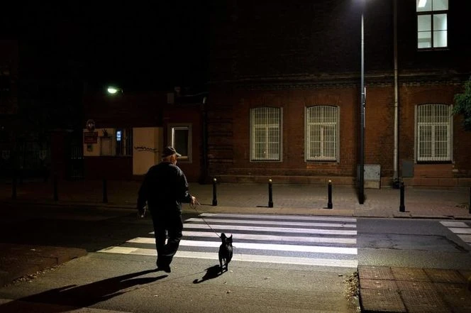 Duża inwestycja Jaśniej i bezpieczniej na warszawskich zebrach. Miasto doświetla setki przejść dla pieszych