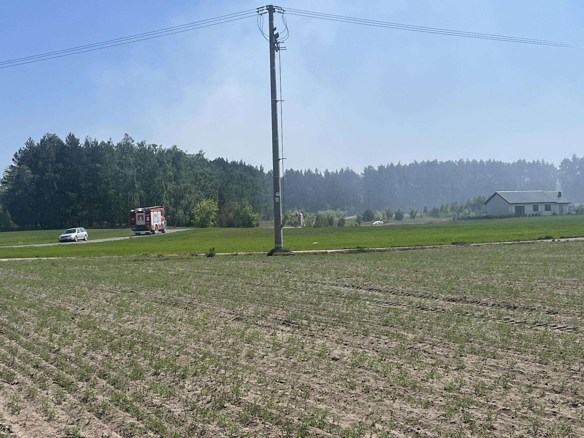 Uwaga! Ogromny pożar lasu pod Toruniem!