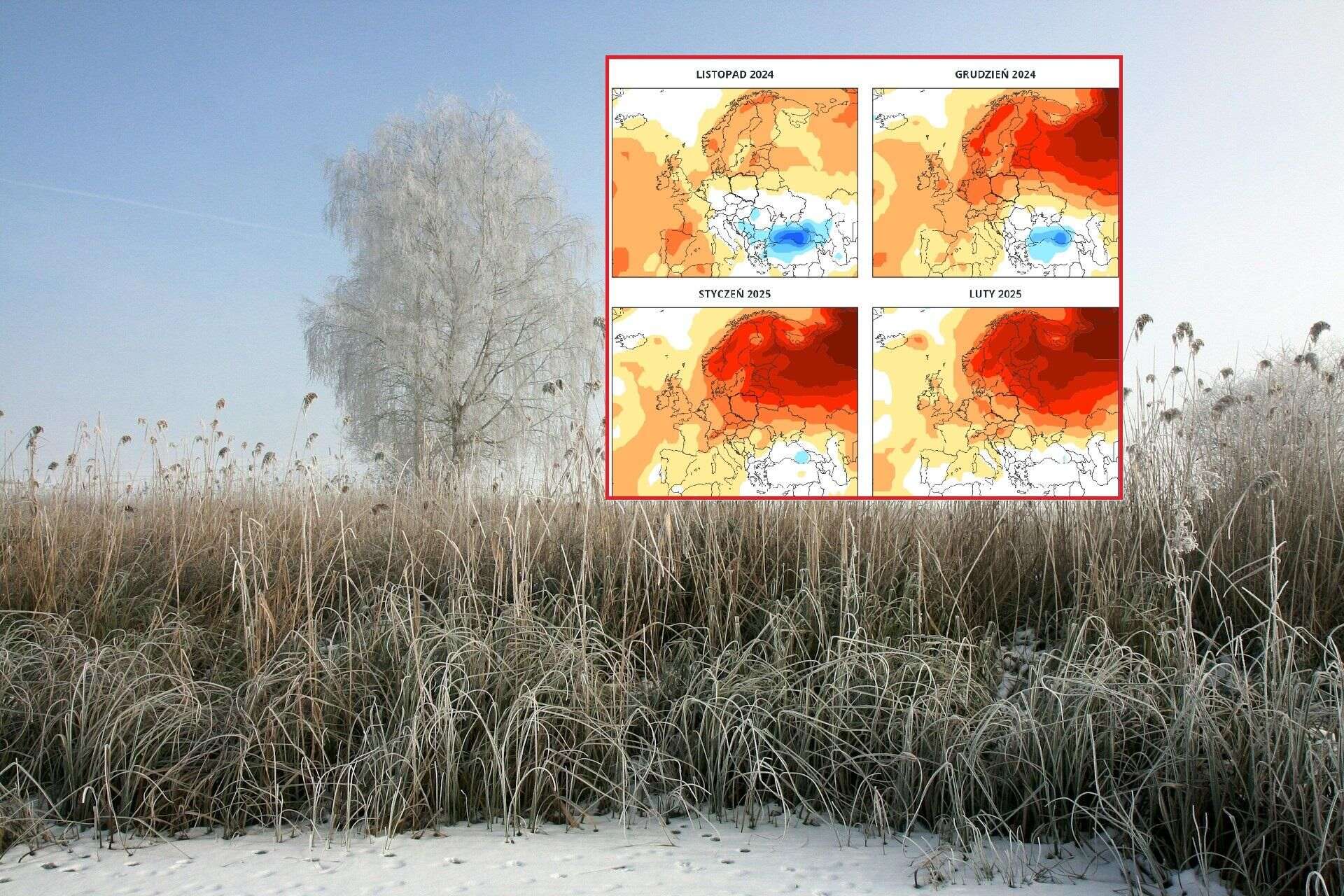 Zima w Polsce Nowa pogoda na zimę 2024/25. Eksperci załamani
