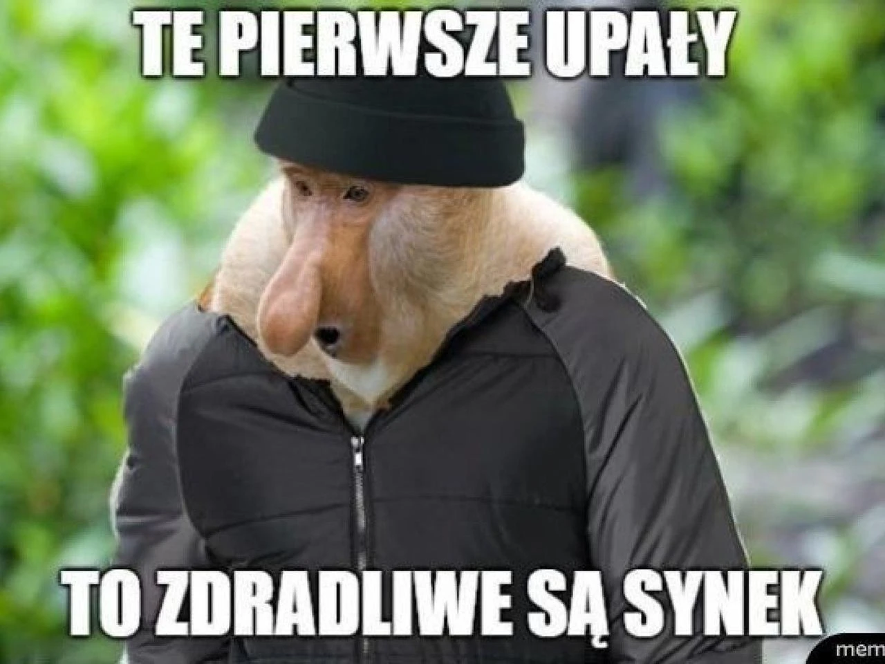 Pierwszy dzień lata 2021 na wesoło! Zobaczcie najlepsze memy w internecie [GALERIA]