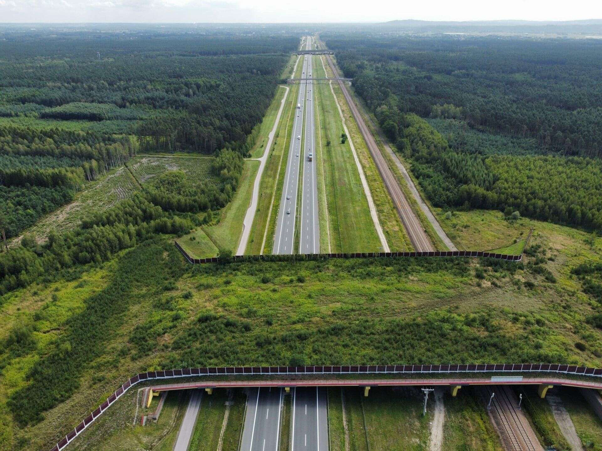 Uwaga kierowcy! Utrudnienia na autostradzie A4. Przez remont przejścia dla zwierząt zamknęli lewy pas