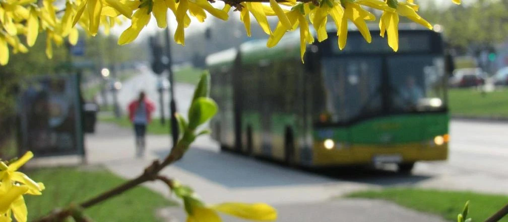 Nowe zasady w komunikacji miejskiej. Ile osób pojedzie autobusem? Co z maseczkami?