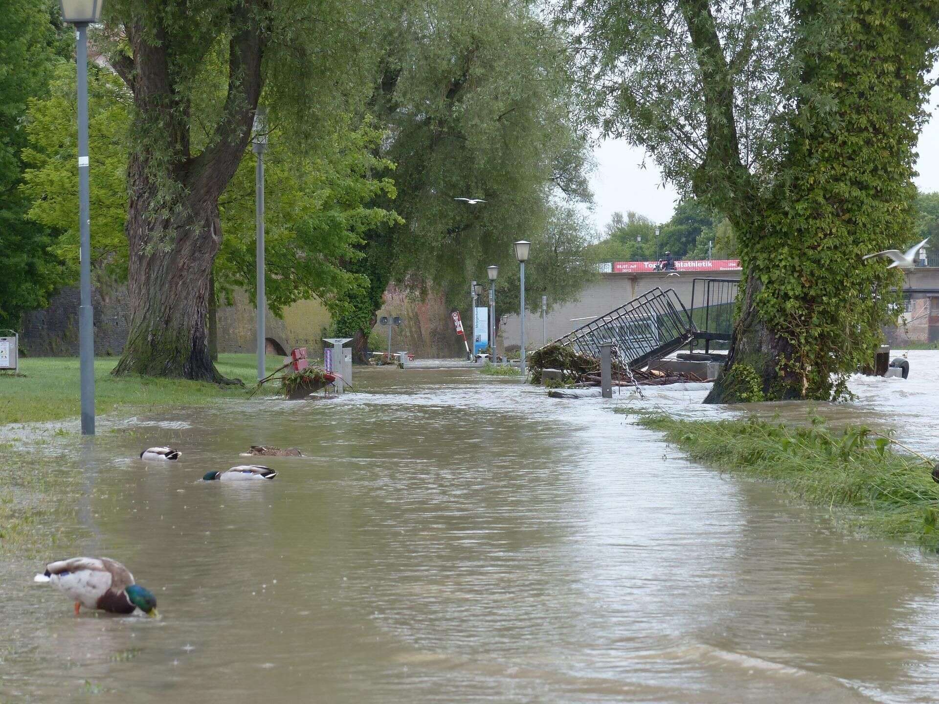 niszczycielska powódź Polska zawodniczka straciła dach nad głową w powodzi. Pilnie potrzebna pomoc, zwróci…