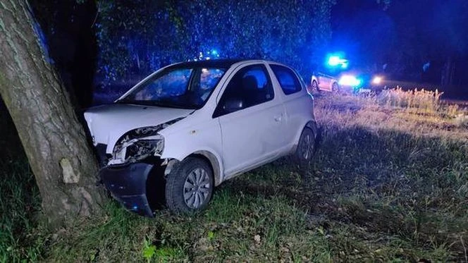 Wpadł! Pijany kierowca z zakazem uciekał przed policją. Finał na drzewie!