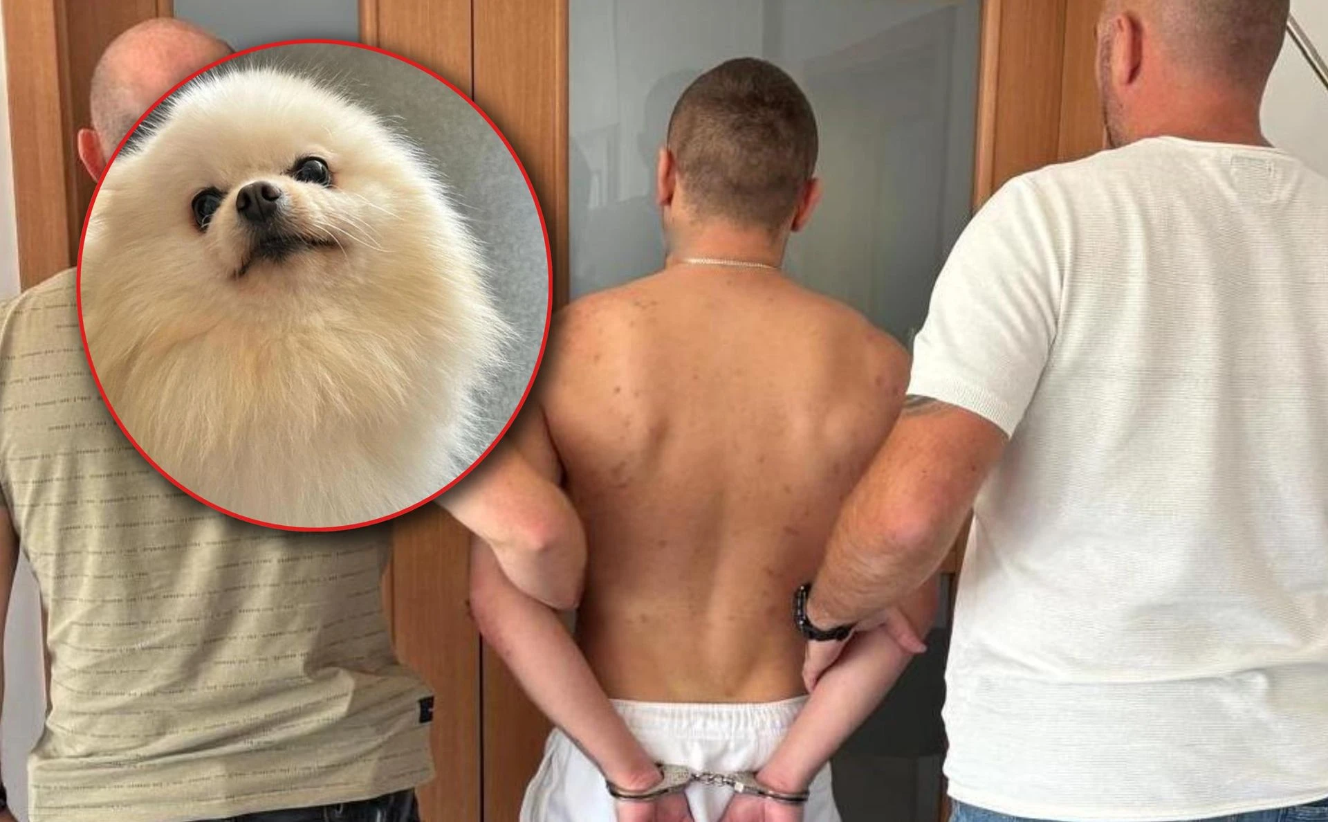szokujące szczegóły! Złodzieje chcieli zrobić romantyczny gest, a wpadli! Pies warty fortunę wrócił do właściciela