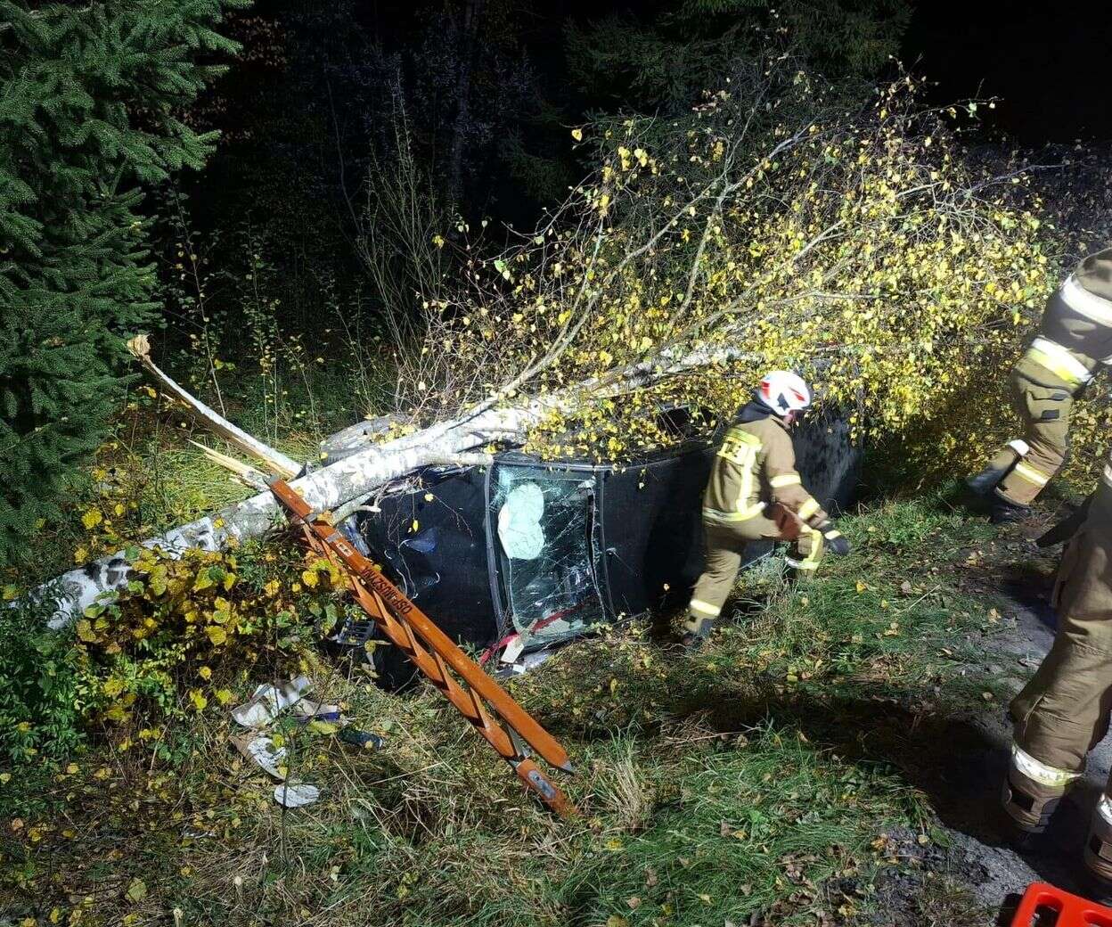 Koszmarny wypadek Auto wbiło się w przydrożne drzewo. Strażacy wycinali szybę