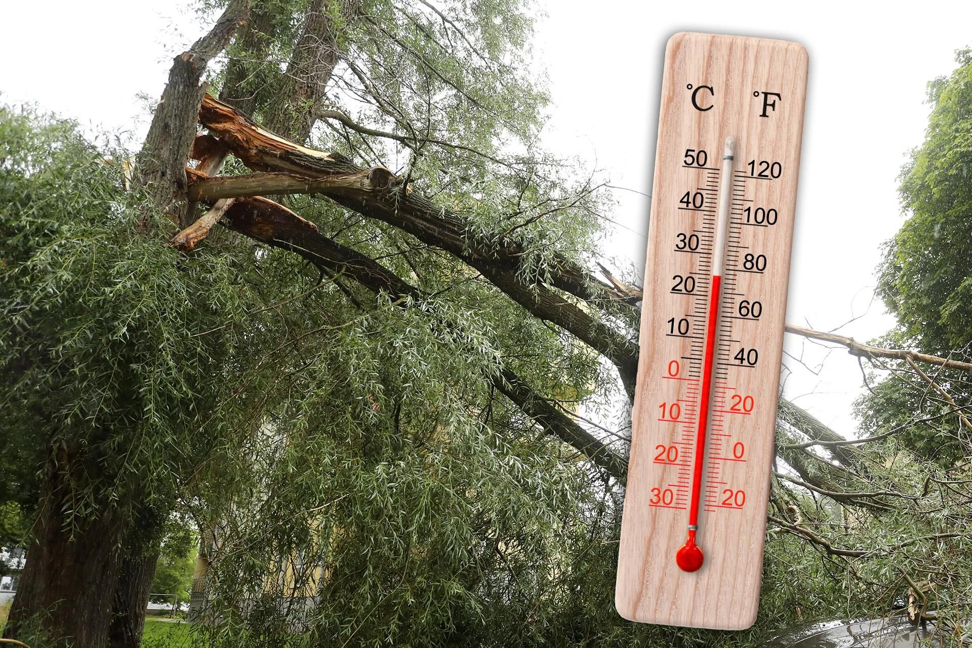 Najnowsza prognoza Letnie temperatury kontra silny wiatr. IMGW ostrzega