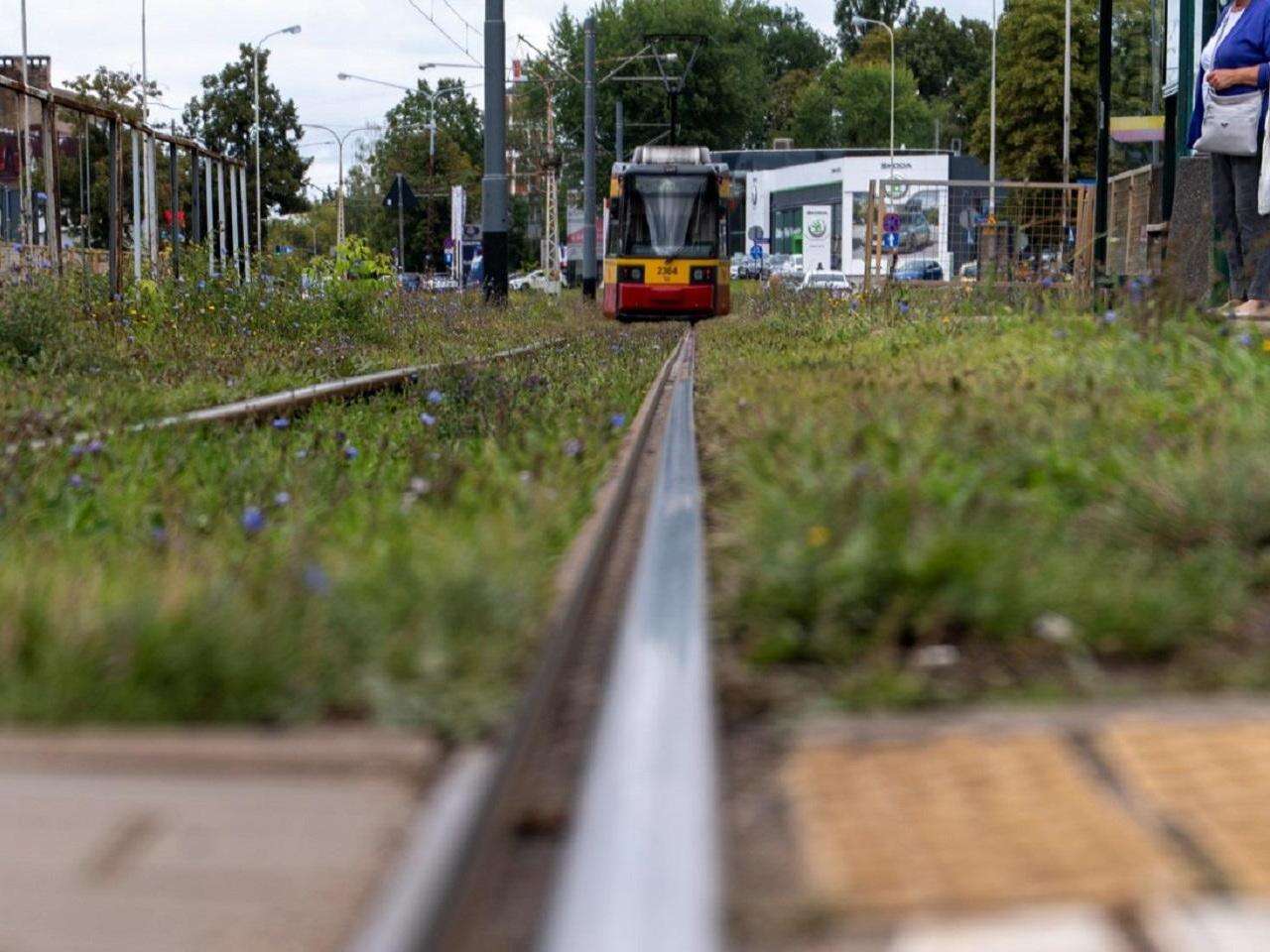 Łódź Nowe rozkłady jazdy MPK Łódź. Powakacyjne zmiany objęły kilkadziesiąt linii!