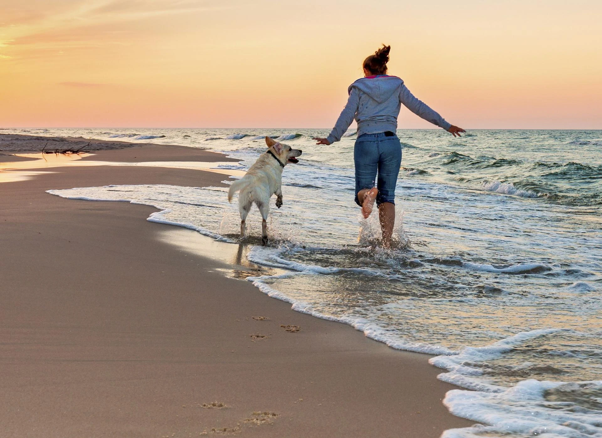 Wakacje z pupilem Plaże przyjazne psom