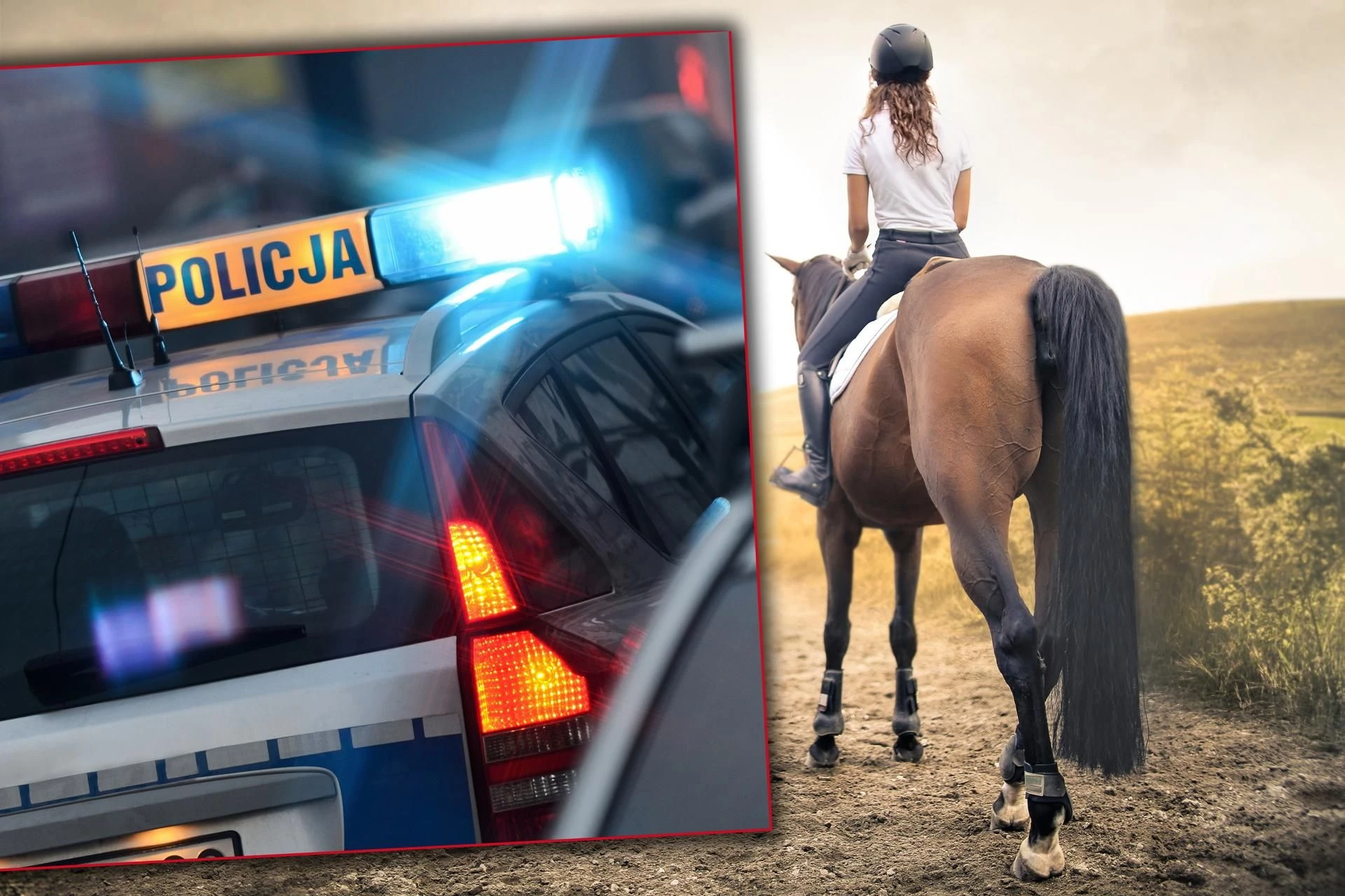Zgon podczas jazdy konnej 14-latka złamała kręgosłup i zginęła! Szokujące doniesienia po tragedii pod Biłgoraj…