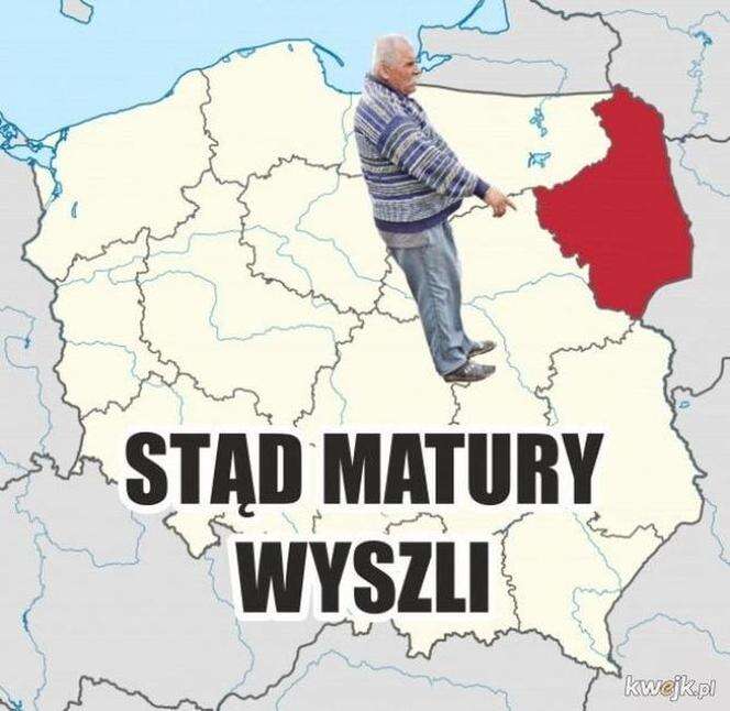 Matura 2024 Matura 2024 memy! To bawi maturzystów. Wciąż króluje Podlasie [GALERIA]