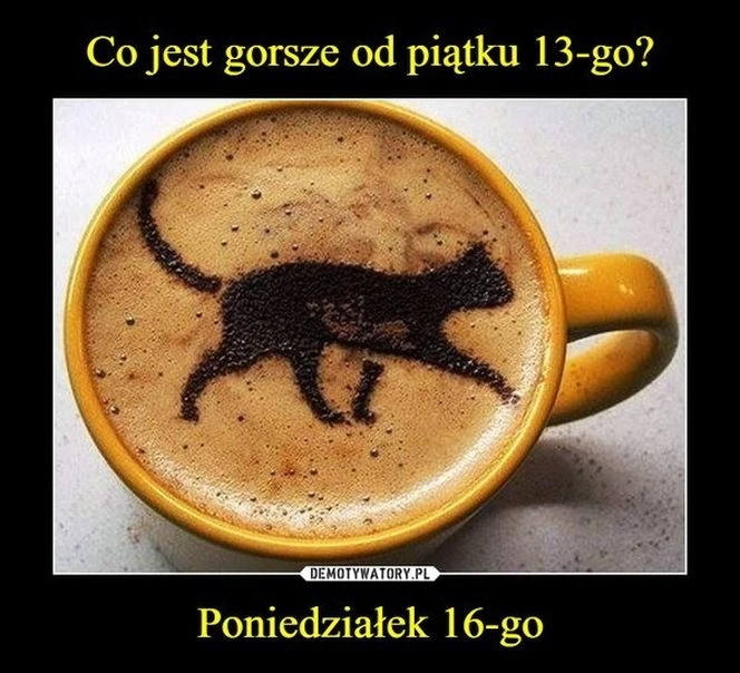 zobaczcie sami! Zamiast pecha – salwy śmiechu! Piątek trzynastego na memach rozbraja [13.06.2025]