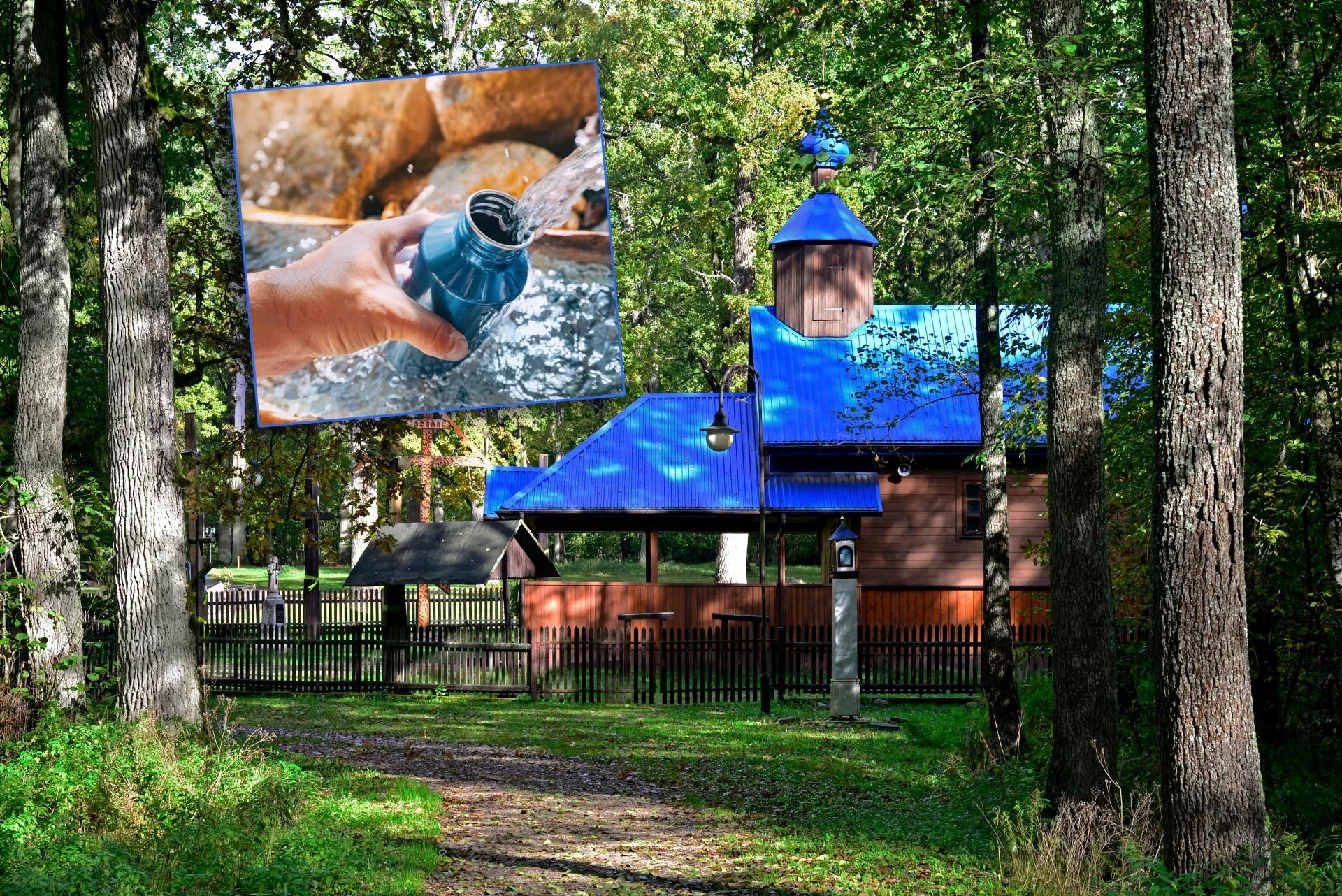 Cudowne źródło Puszcza Białowieska skrywa święte źródło. Pielgrzymi mówią o cudach