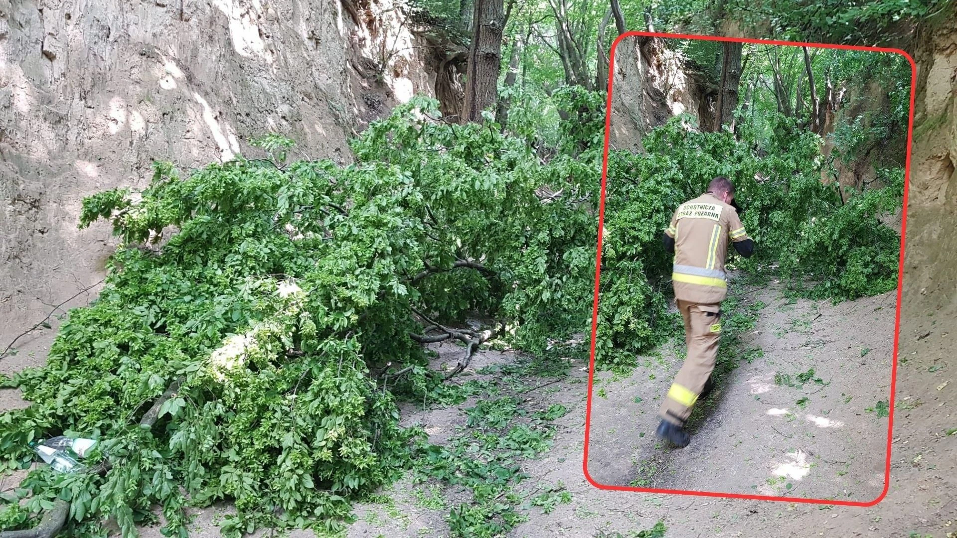 Wypadek! Dramat na wycieczce szkolnej w Kazimierzu Dolnym! Dzieci i opiekunowie przygnieceni