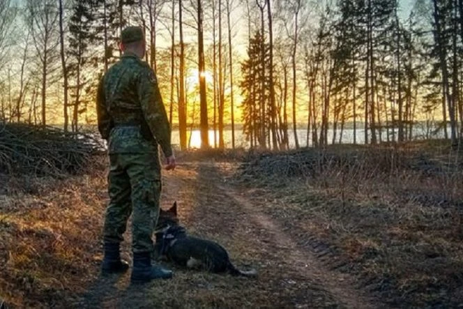 Migracja z Białorusi w odwrocie Nielegalna migracja z Białorusi spada. Wiceminister: ‘Wkrótce zniknie całkiem’