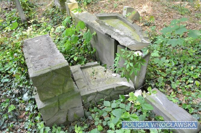 Wrocław: Zdewastowano kilkadziesiąt nagrobków na cmentarzu żydowskim! Podejrzane s...