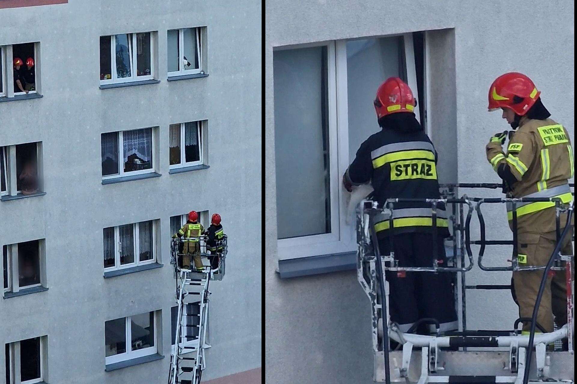 Interweniowali strażacy Zostawili tak otwarte okno. Film o tym, co stało się później, obejrzało ponad milion…