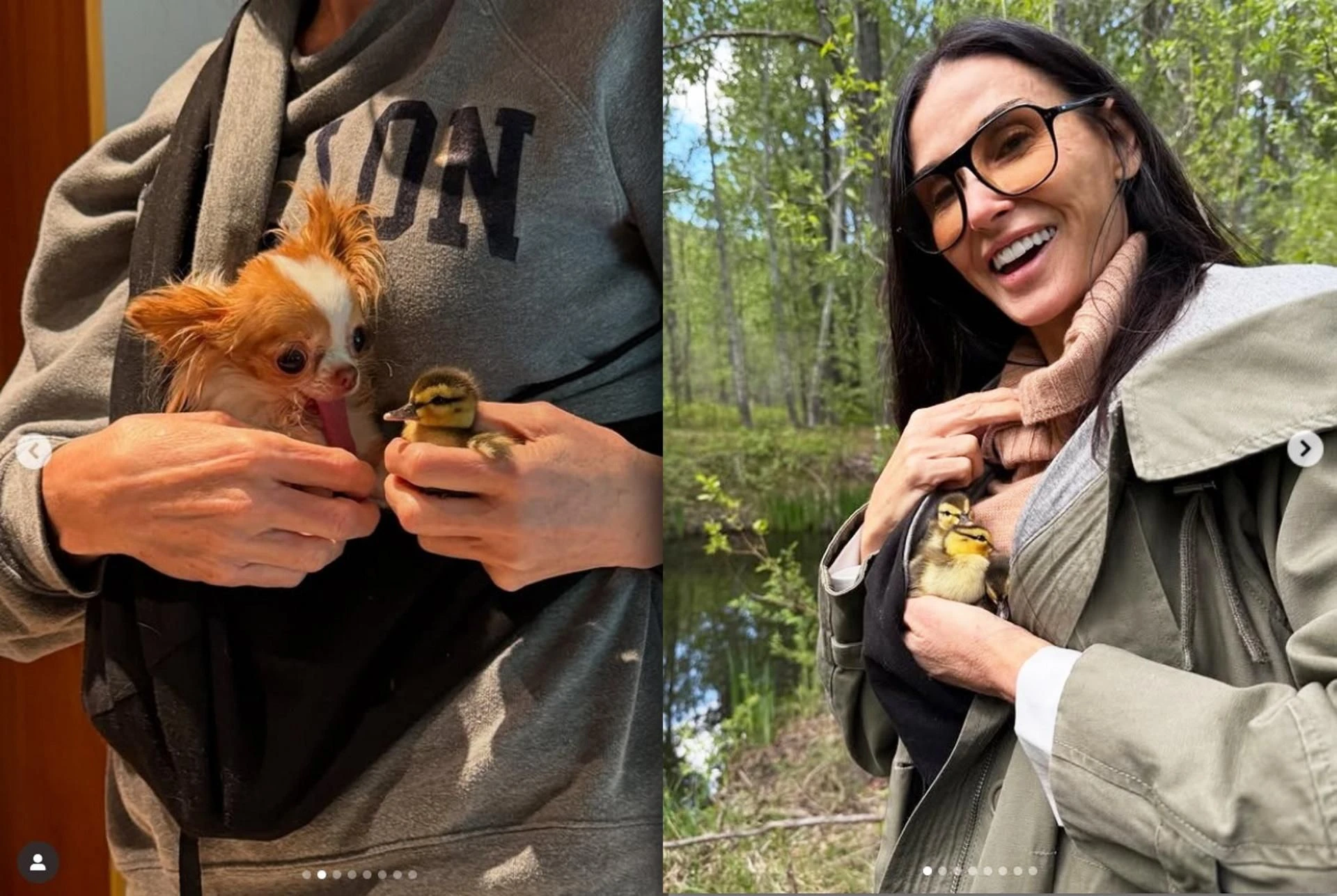 W komentarzach burza Demi Moore przygarnęła kaczki! 